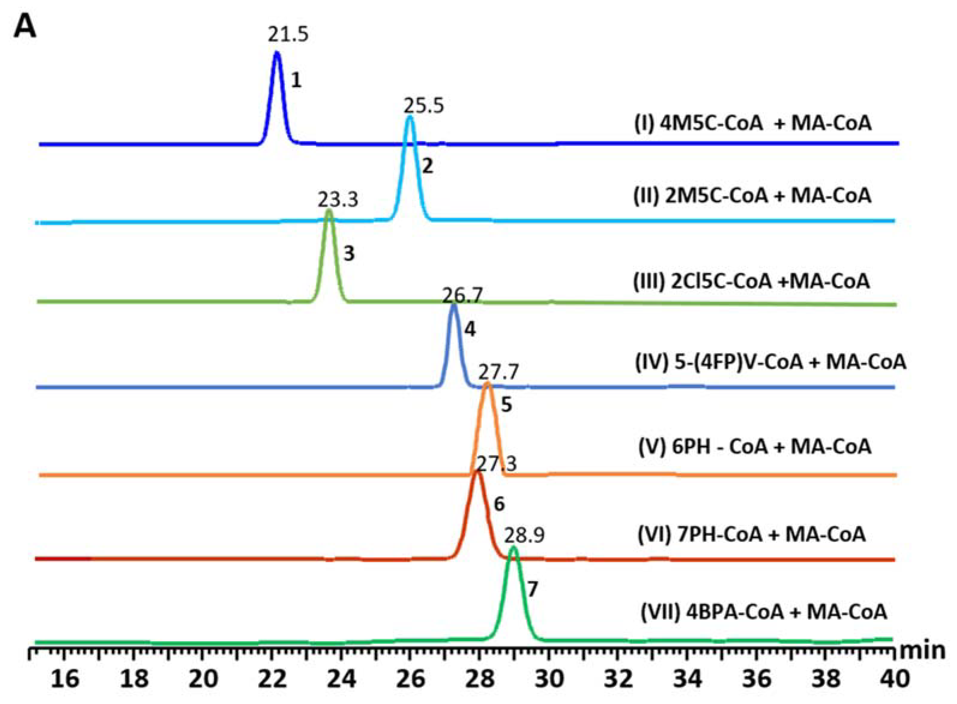 Biomolecules 10 00738 g004a