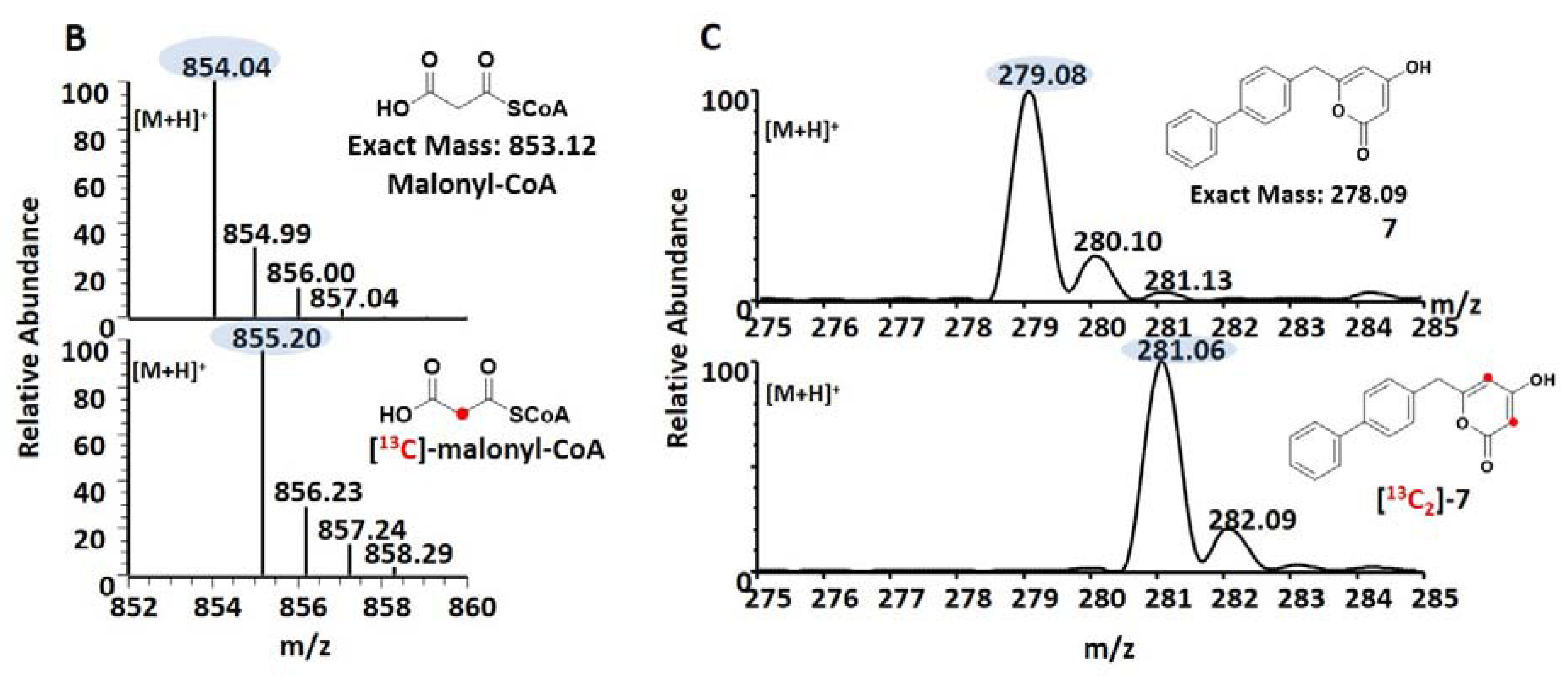 Biomolecules 10 00738 g004b