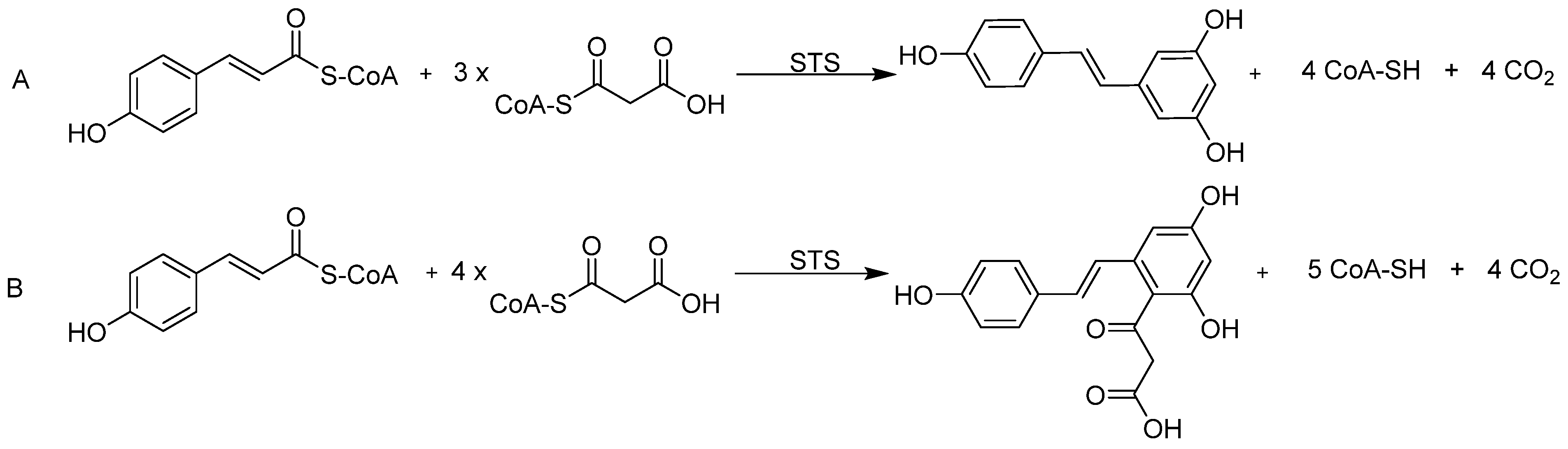 Biomolecules 10 00738 sch001
