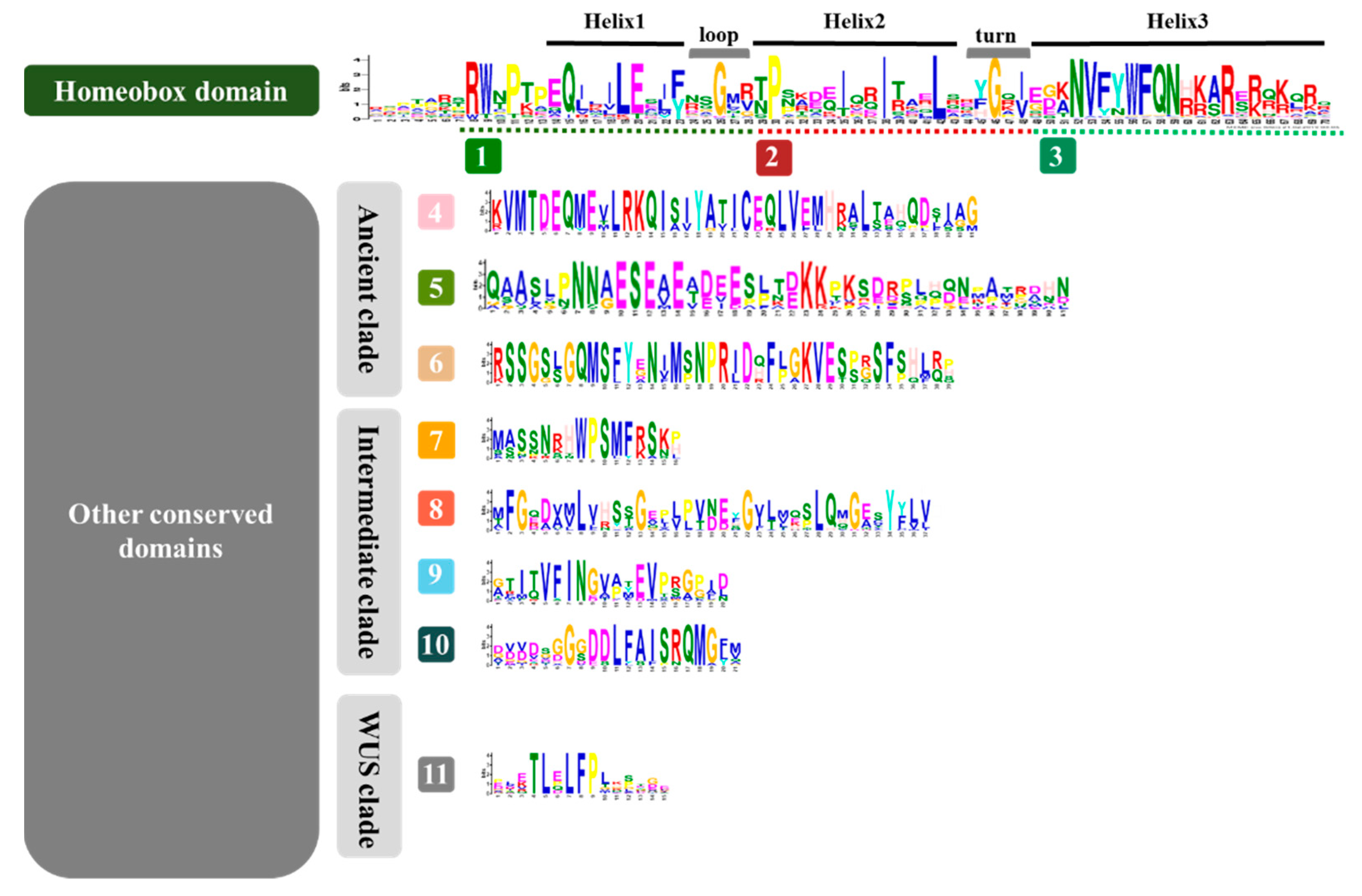 Biomolecules 10 00739 g001