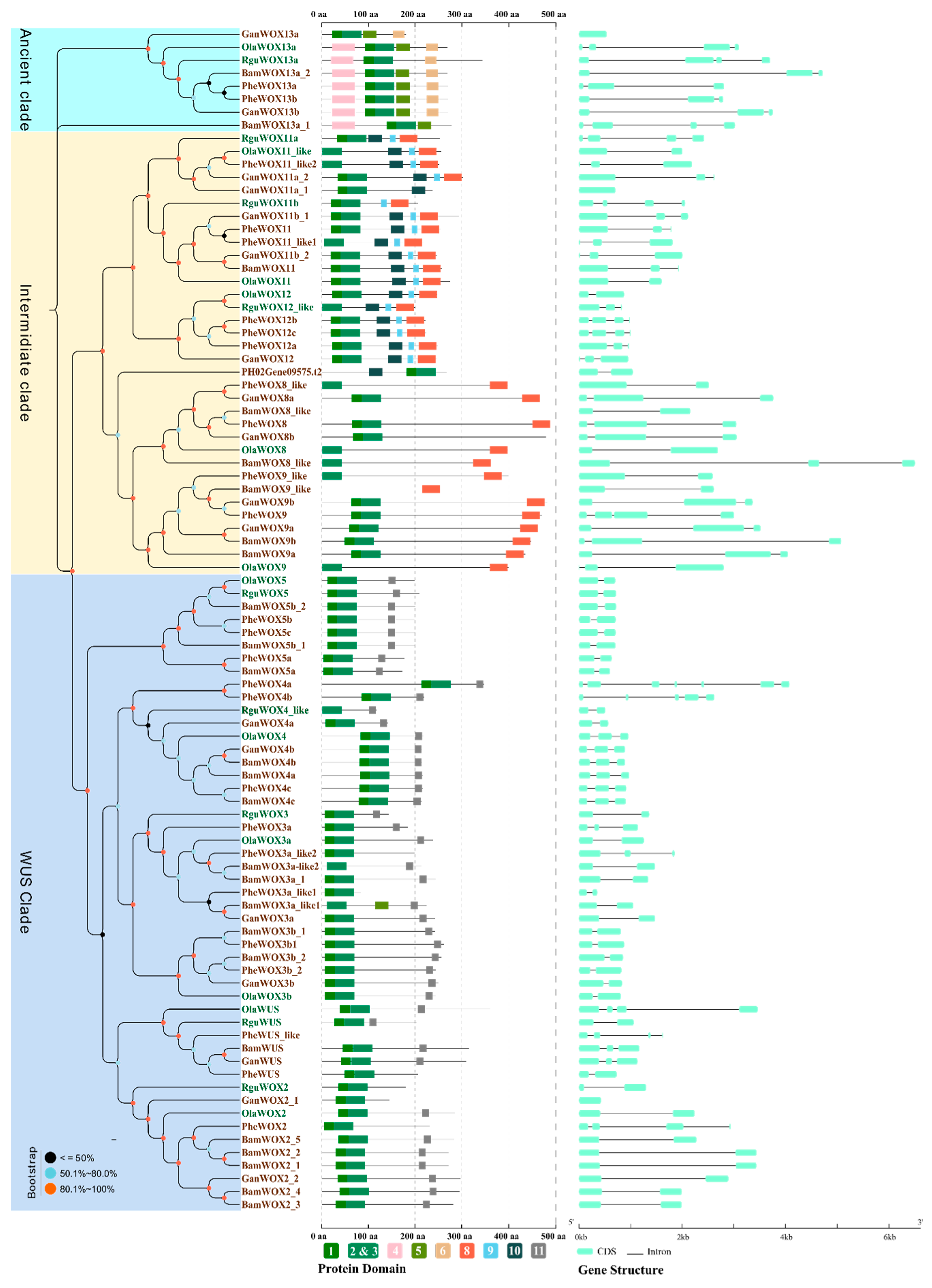 Biomolecules 10 00739 g003