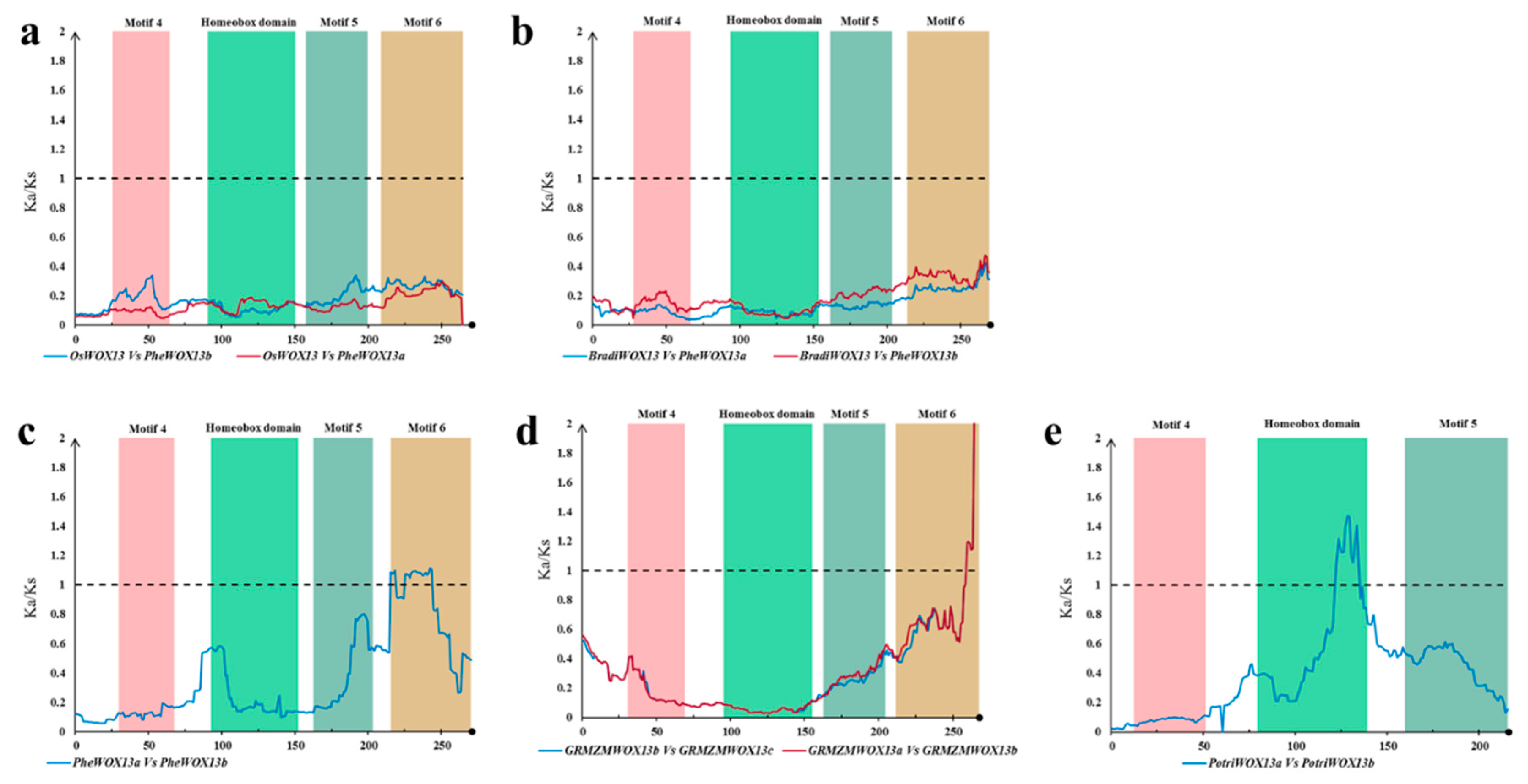 Biomolecules 10 00739 g004