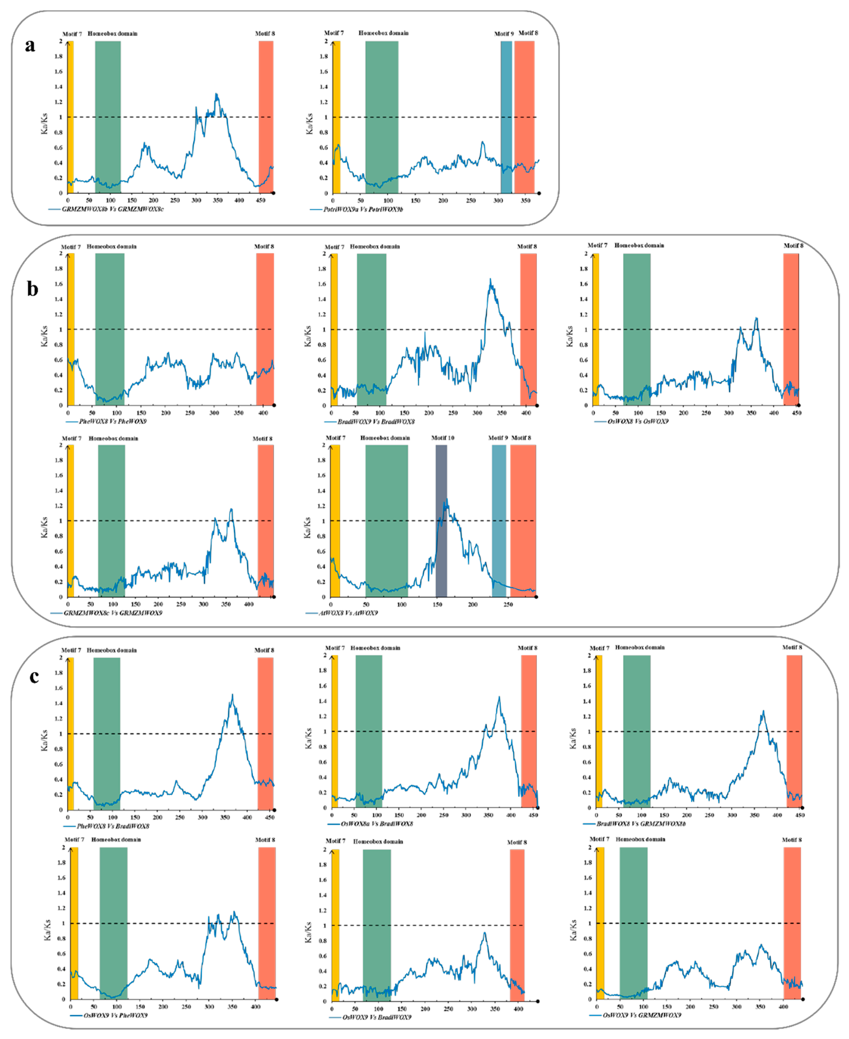 Biomolecules 10 00739 g005