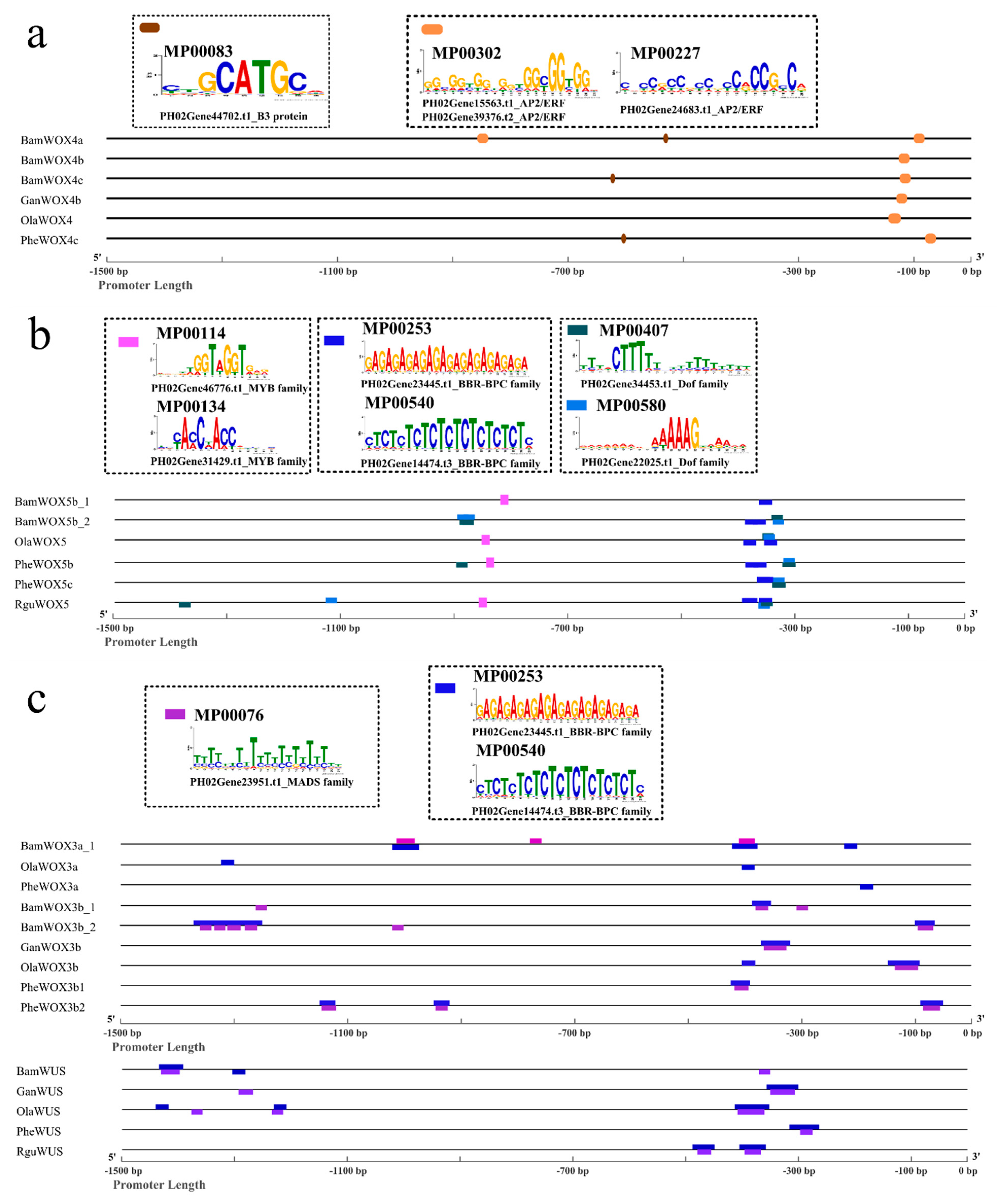 Biomolecules 10 00739 g007