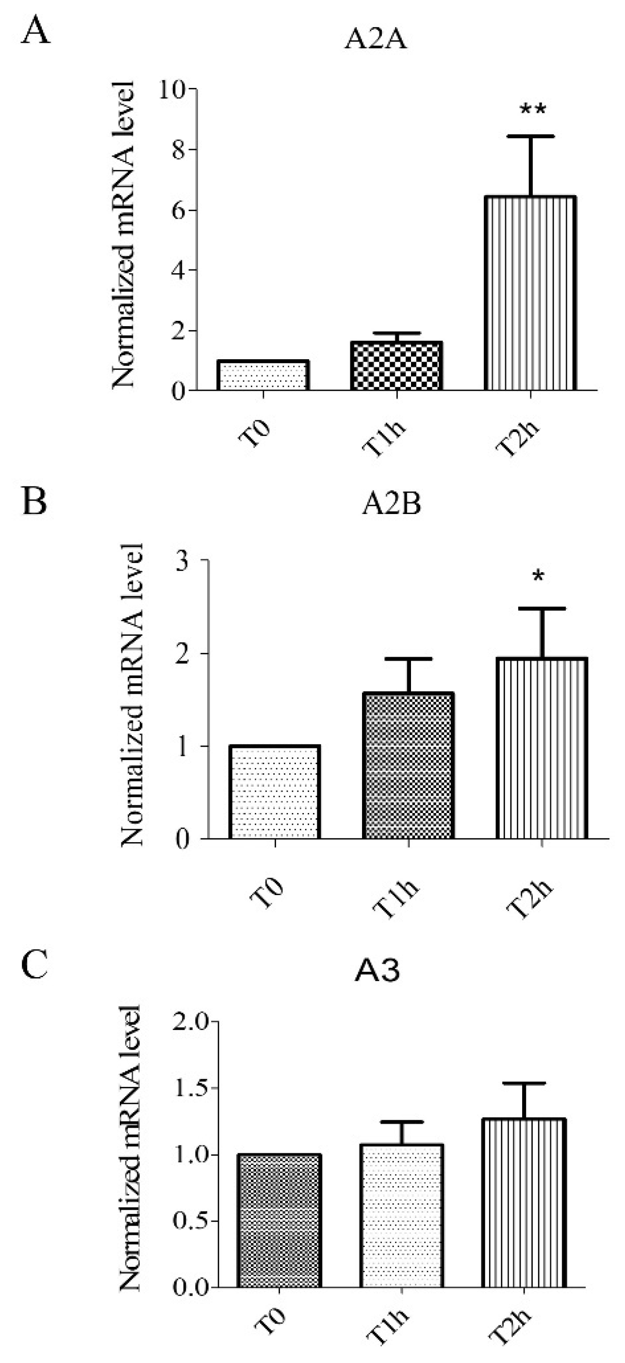 Biomolecules 10 00740 g001 Biomolecules 10 00740 g001