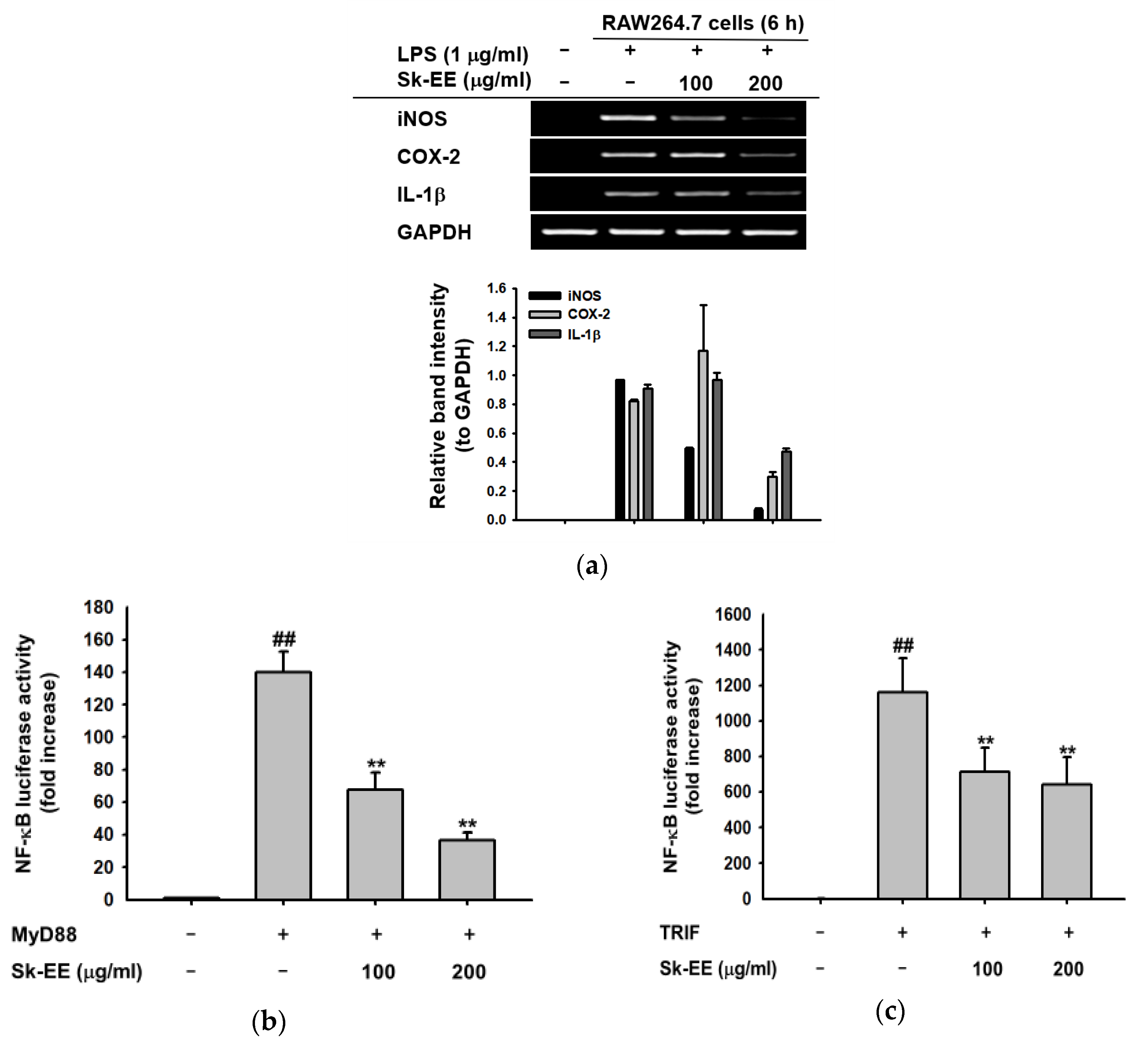 Biomolecules 10 00741 g002a Biomolecules 10 00741 g002a