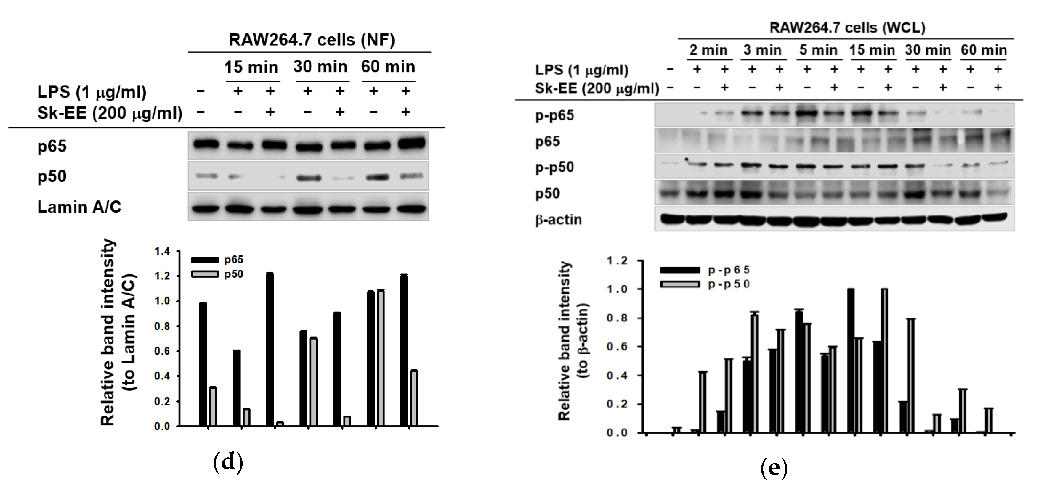 Biomolecules 10 00741 g002b Biomolecules 10 00741 g002b