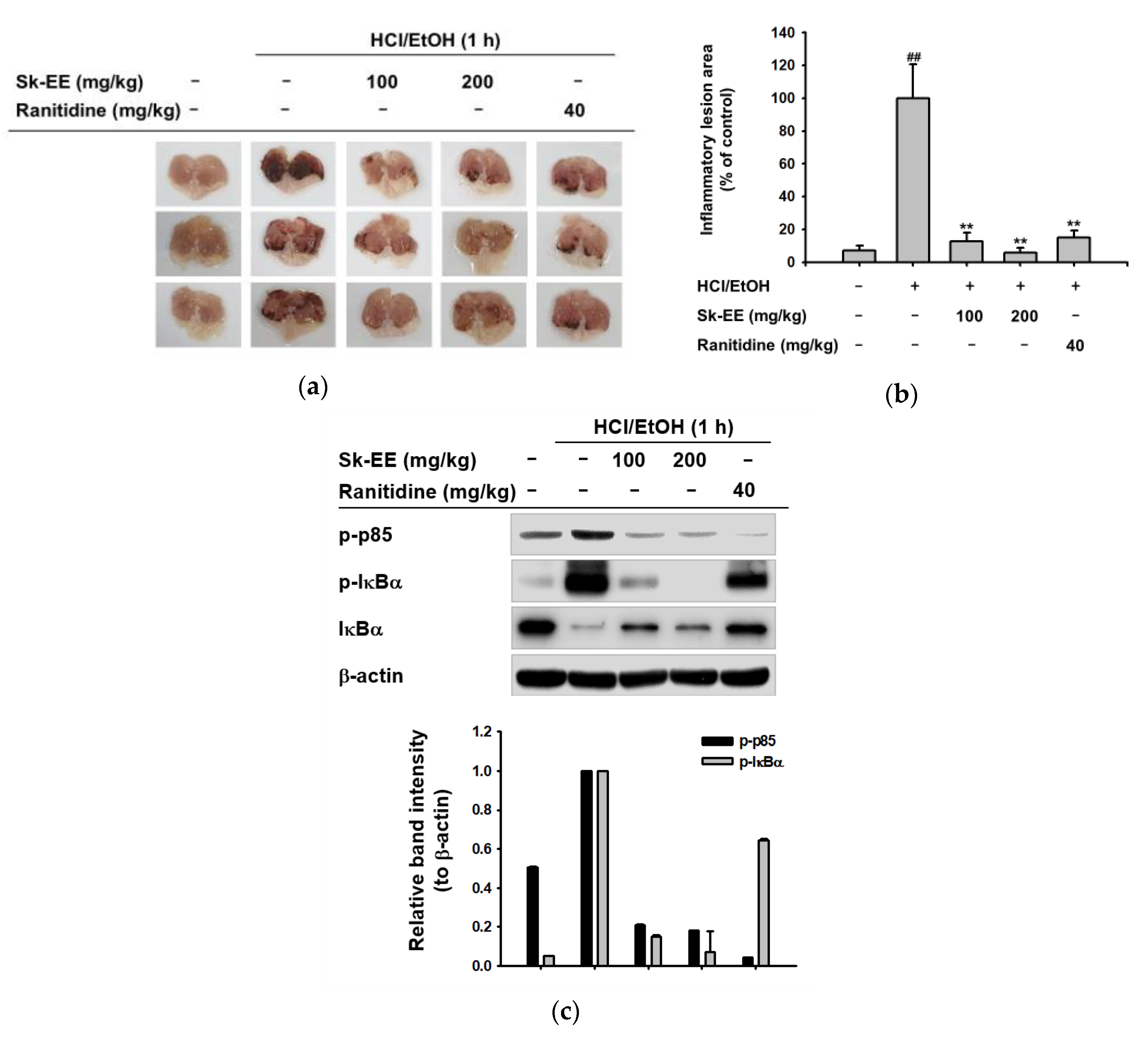 Biomolecules 10 00741 g004 Biomolecules 10 00741 g004
