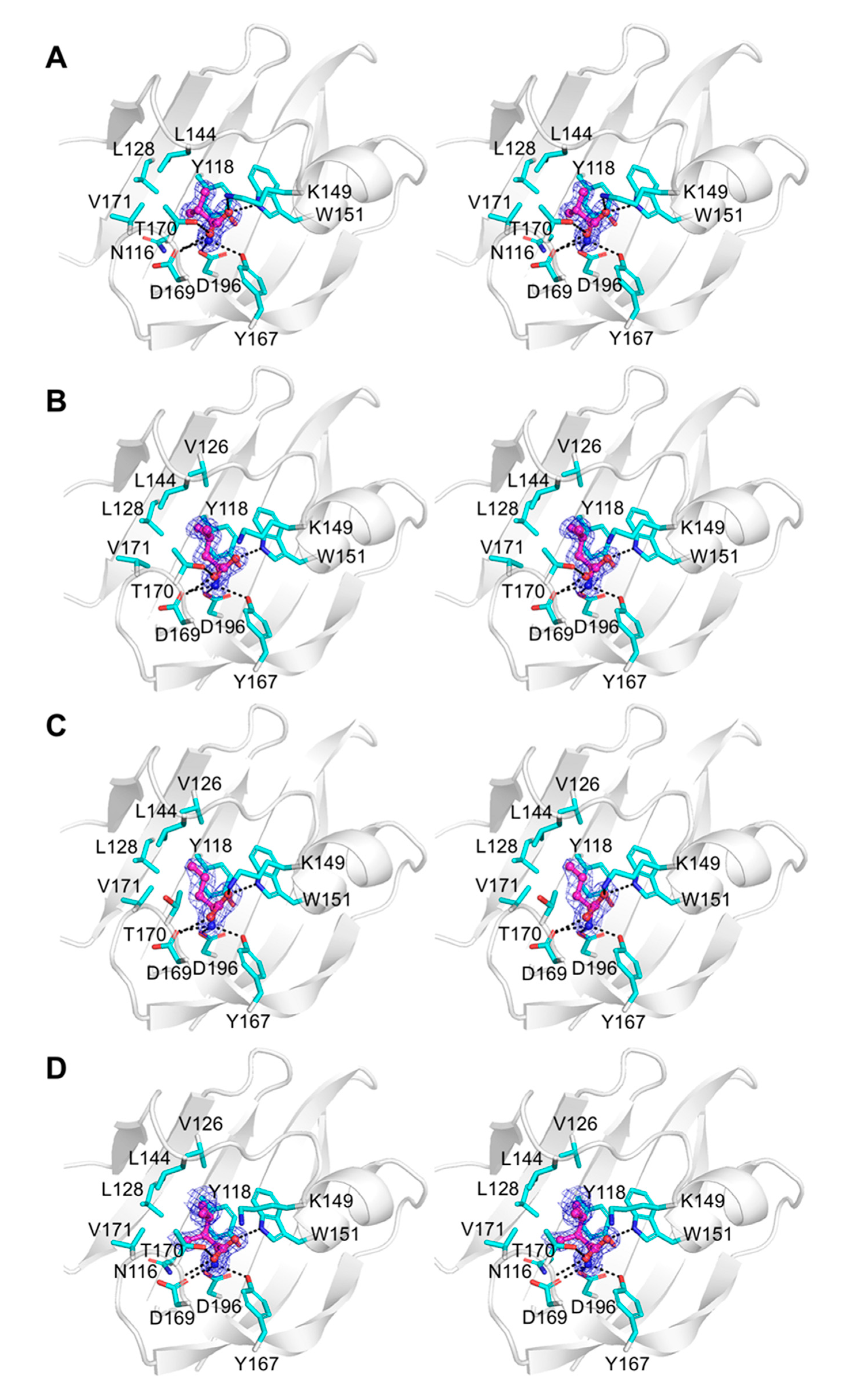 Biomolecules 10 00744 g005 Biomolecules 10 00744 g005