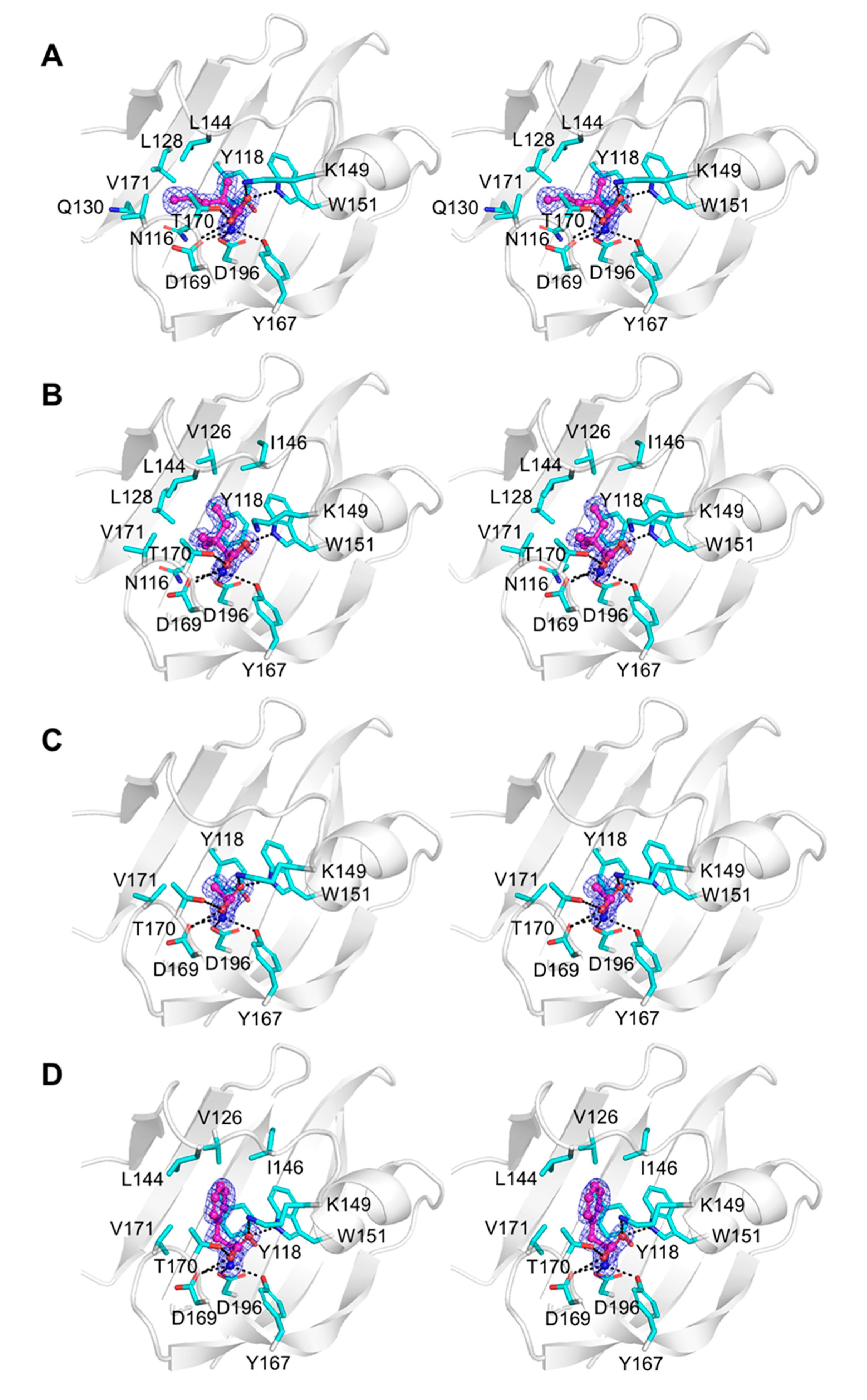 Biomolecules 10 00744 g006 Biomolecules 10 00744 g006