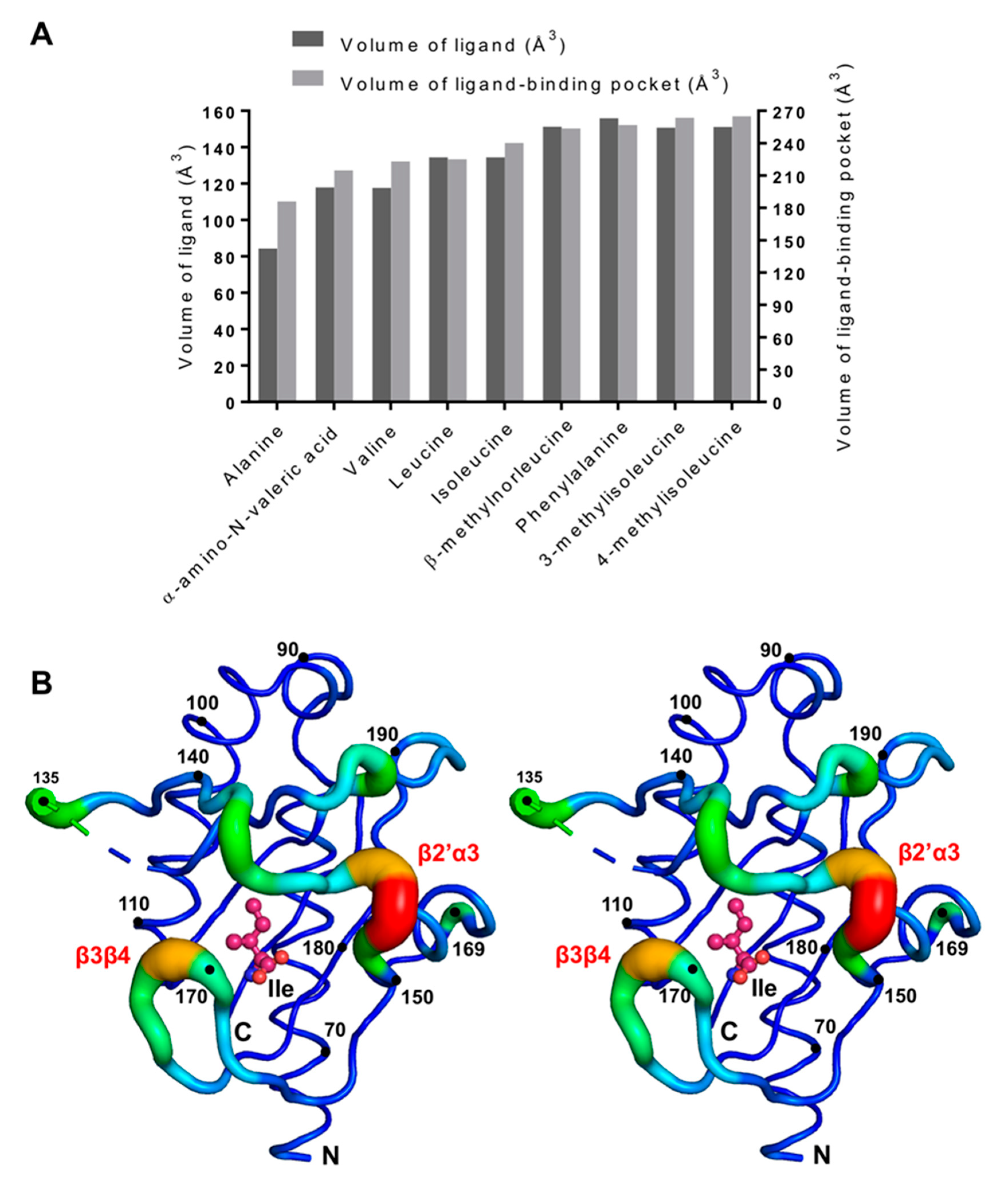 Biomolecules 10 00744 g008 Biomolecules 10 00744 g008