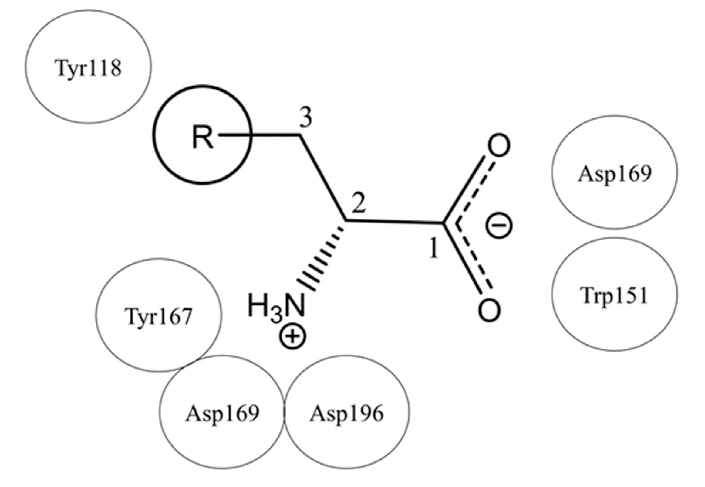 Biomolecules 10 00744 g009 Biomolecules 10 00744 g009