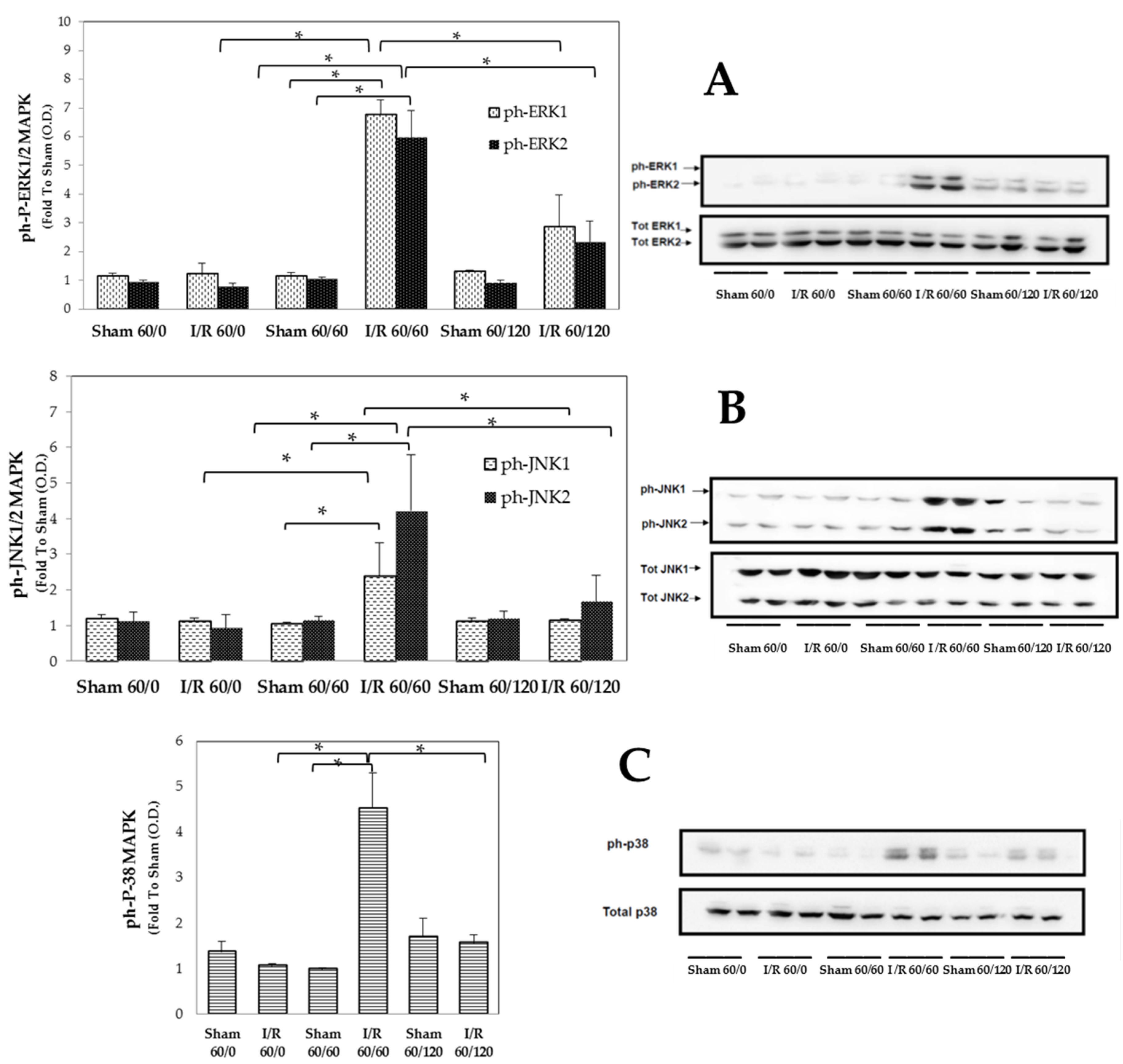 Biomolecules 10 00747 g003 Biomolecules 10 00747 g003