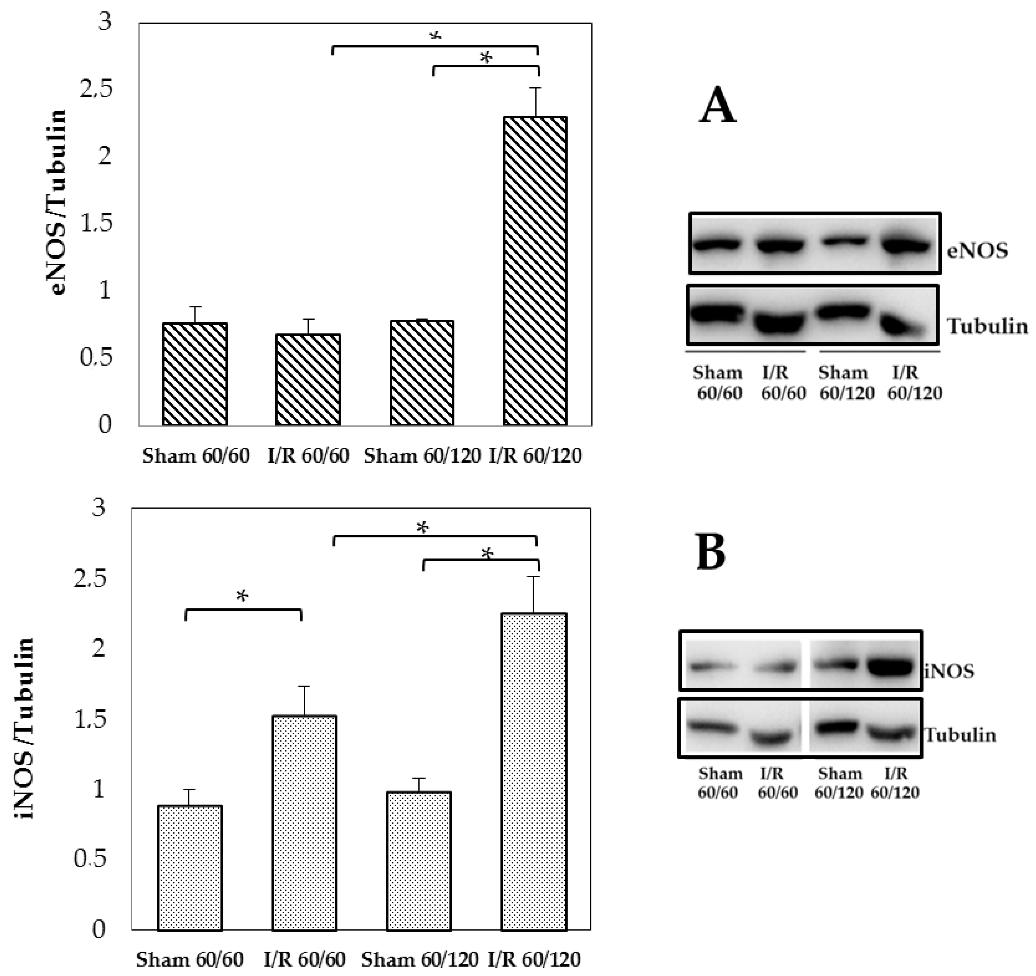 Biomolecules 10 00747 g004 Biomolecules 10 00747 g004