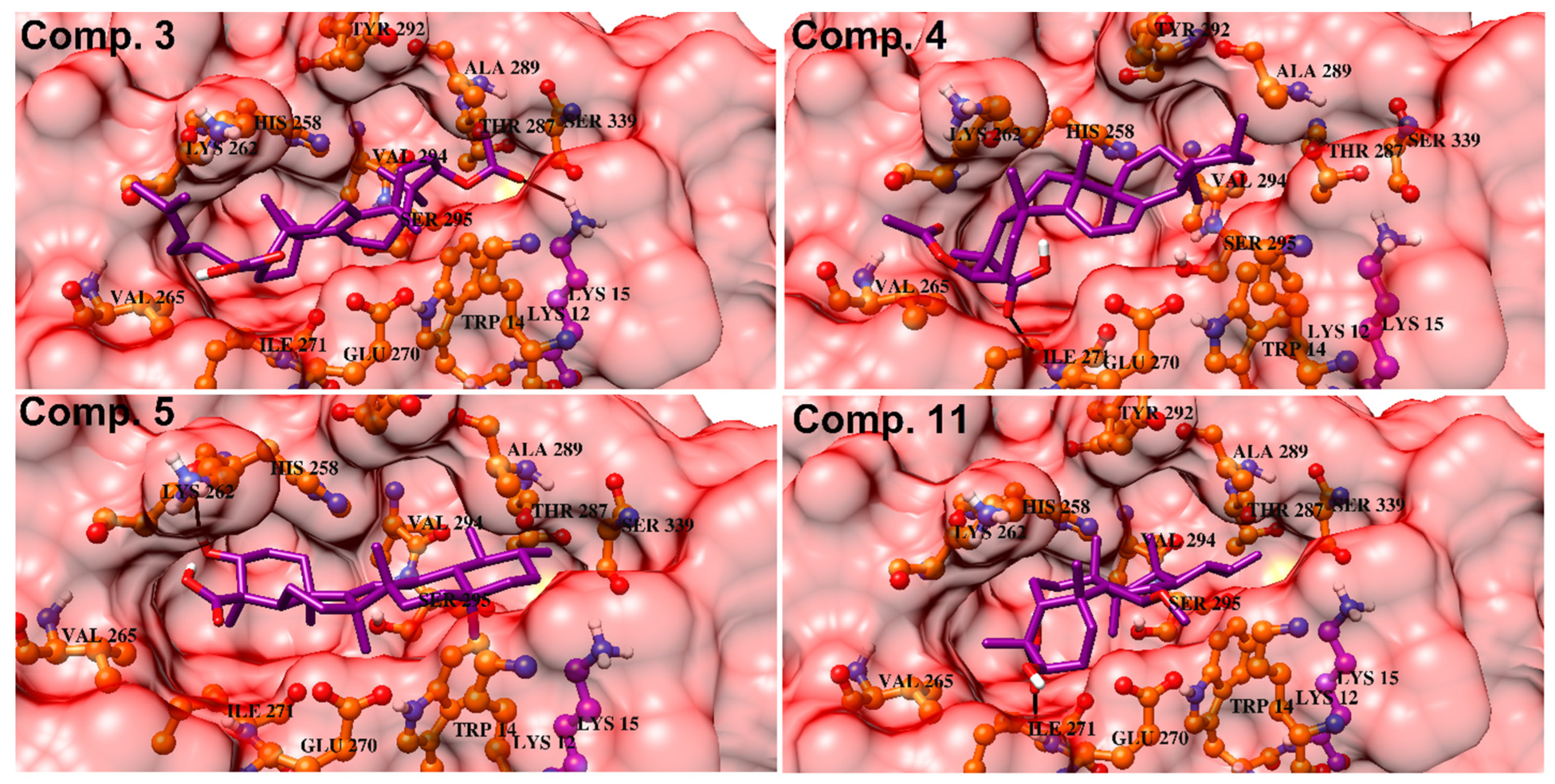 Biomolecules 10 00751 g008 Biomolecules 10 00751 g008