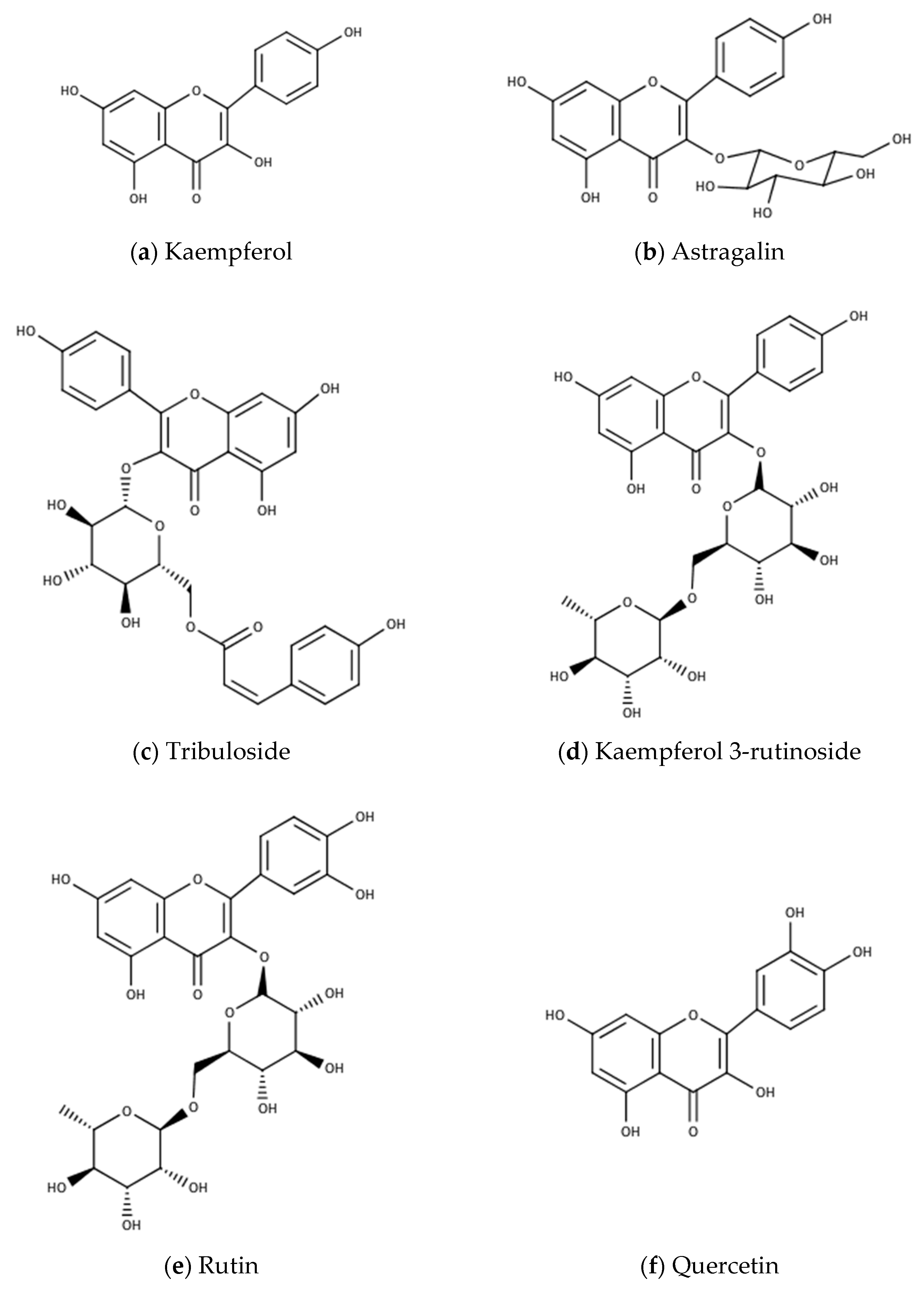 Biomolecules 10 00752 g002a Biomolecules 10 00752 g002a