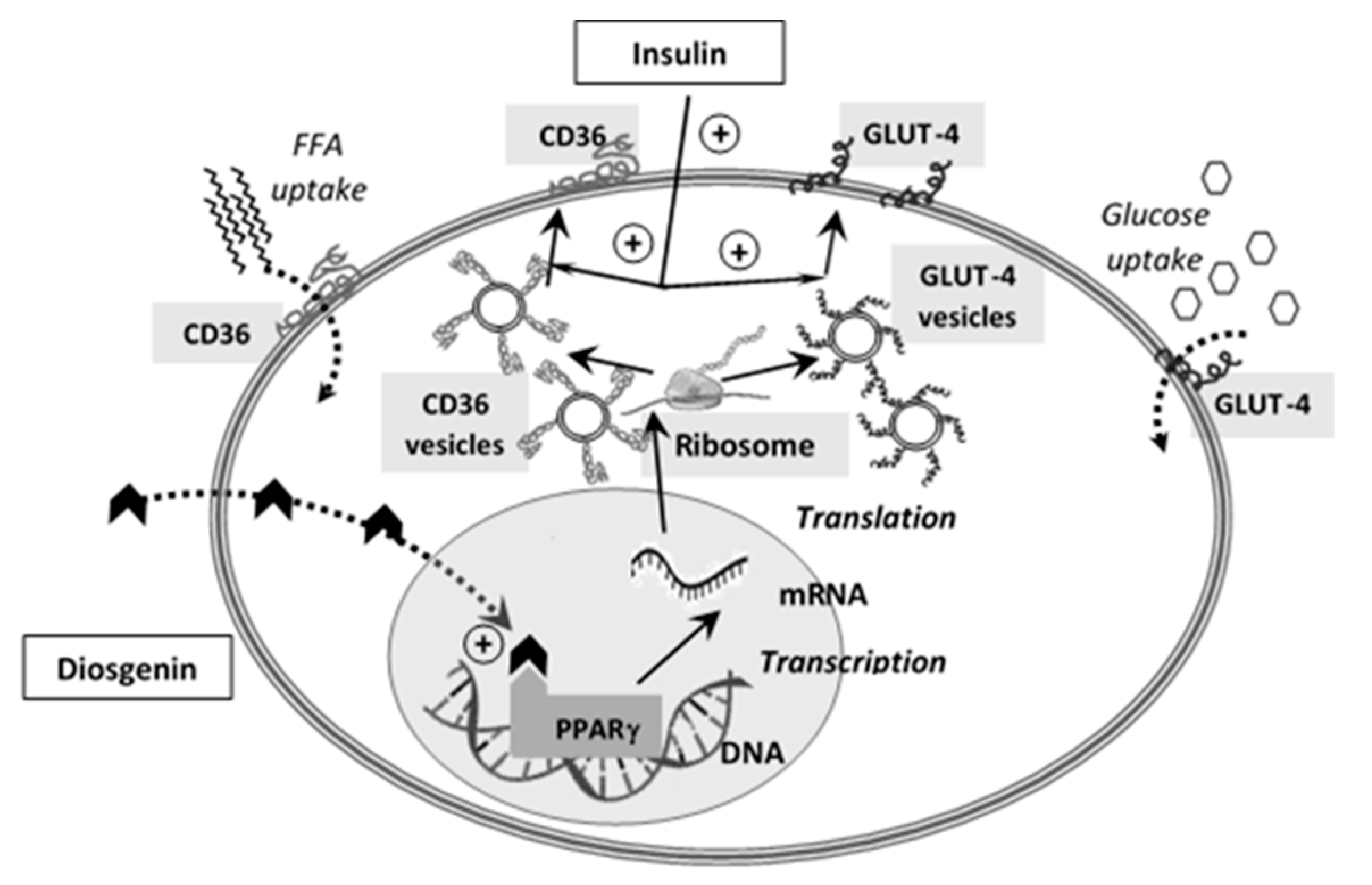 Biomolecules 10 00752 g004 Biomolecules 10 00752 g004