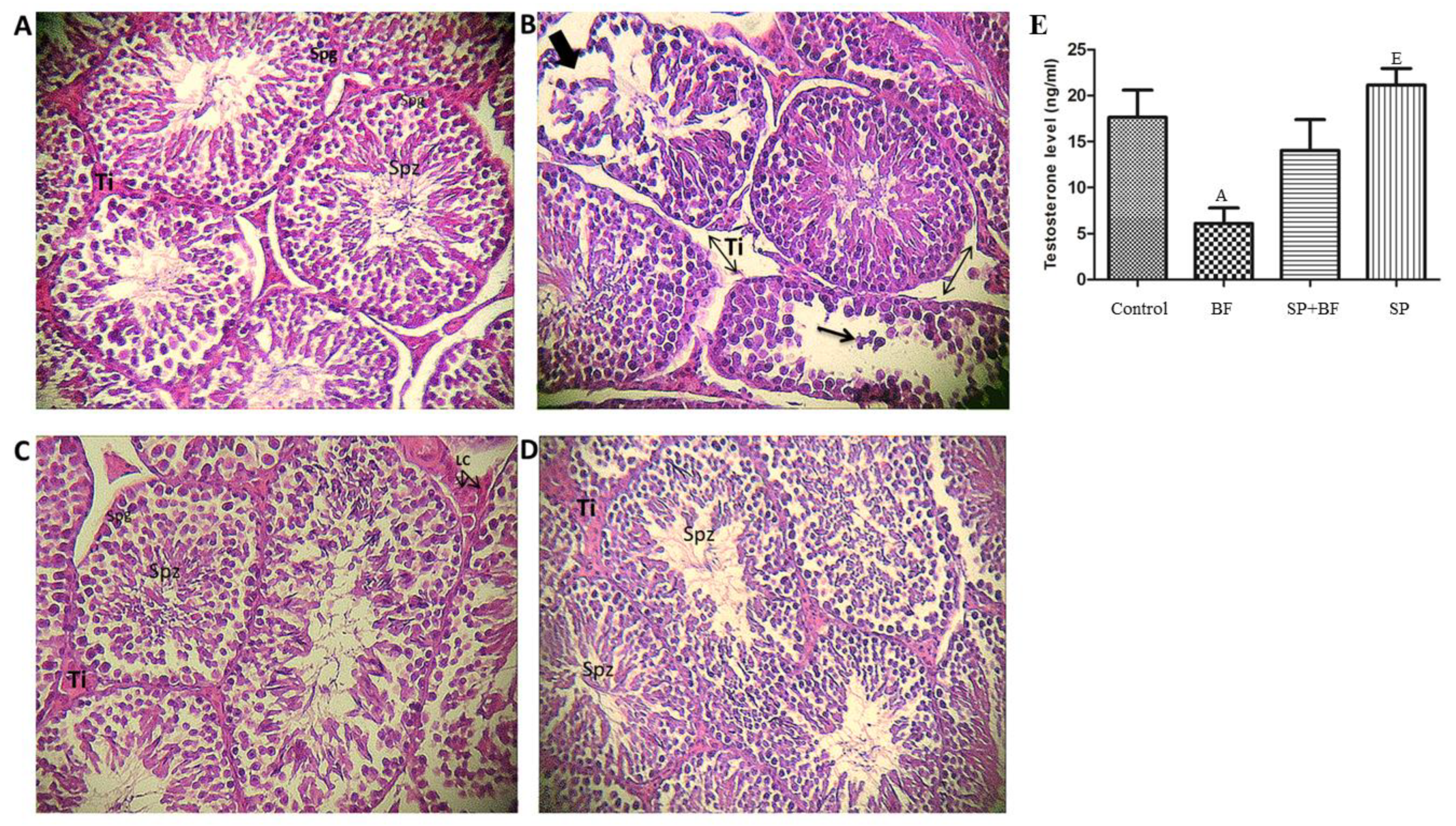 Biomolecules 10 00753 g002 Biomolecules 10 00753 g002