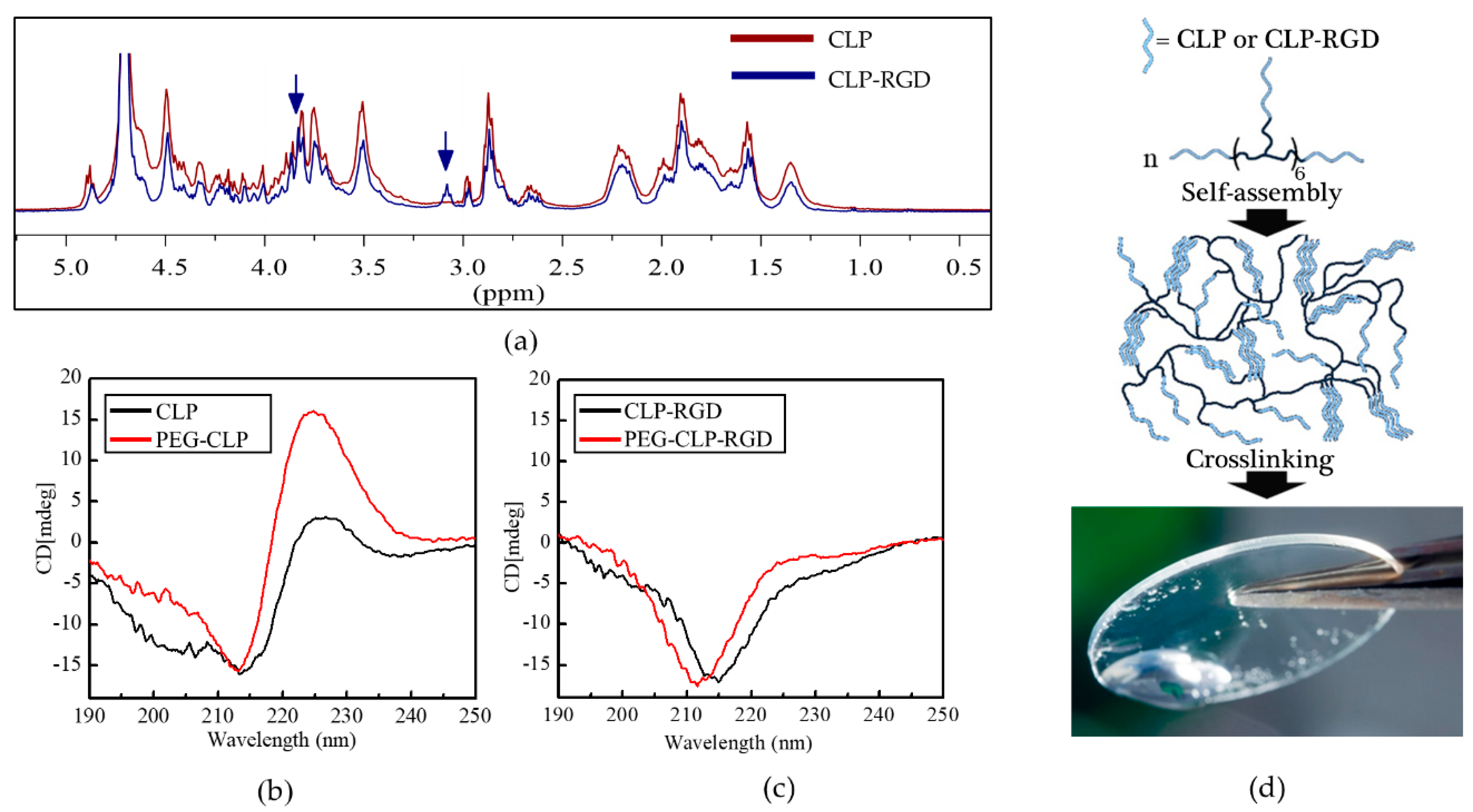Biomolecules 10 00754 g001