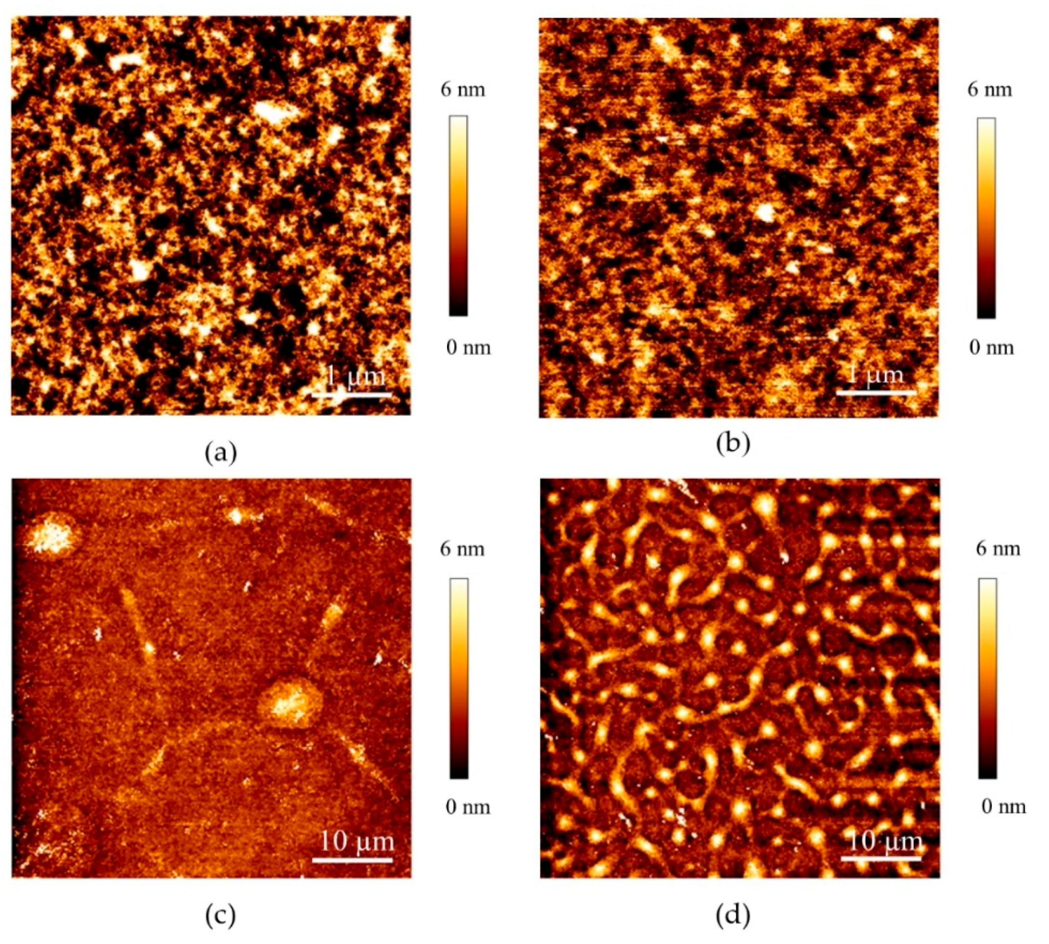 Biomolecules 10 00754 g002