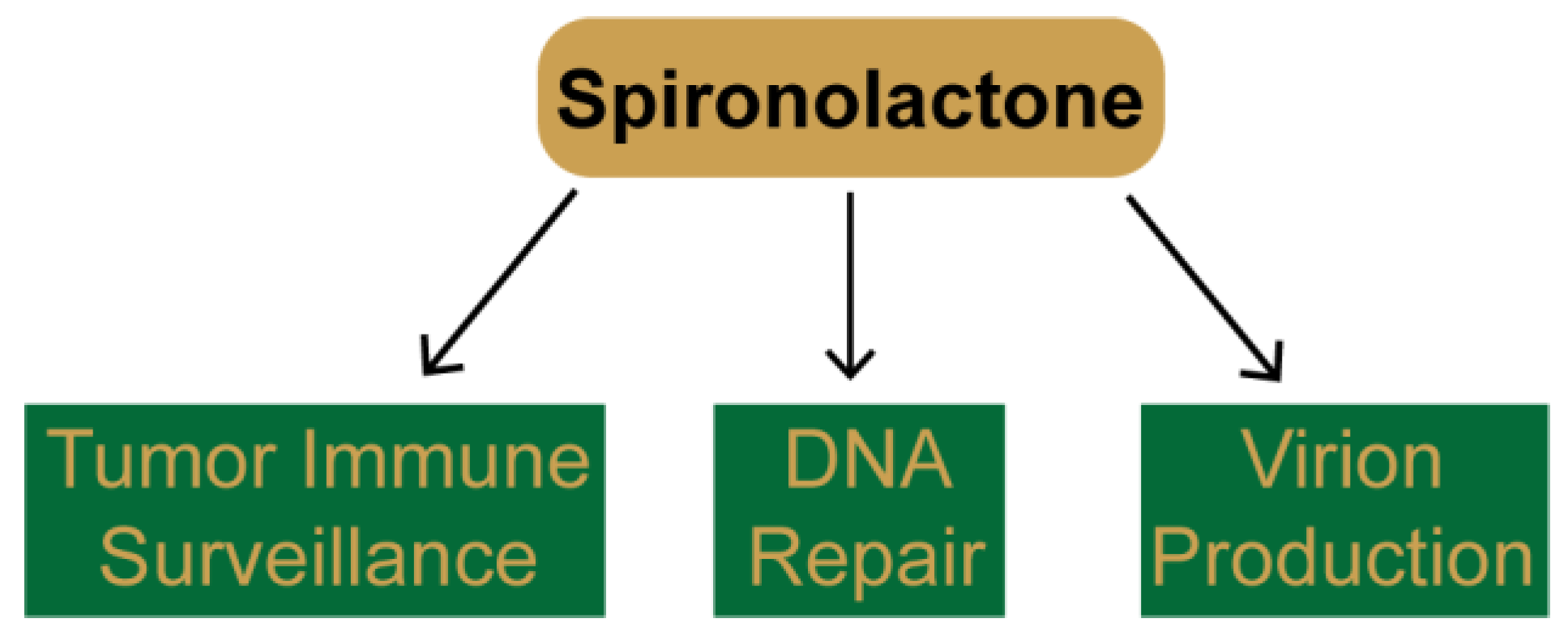 Biomolecules 10 00756 g003