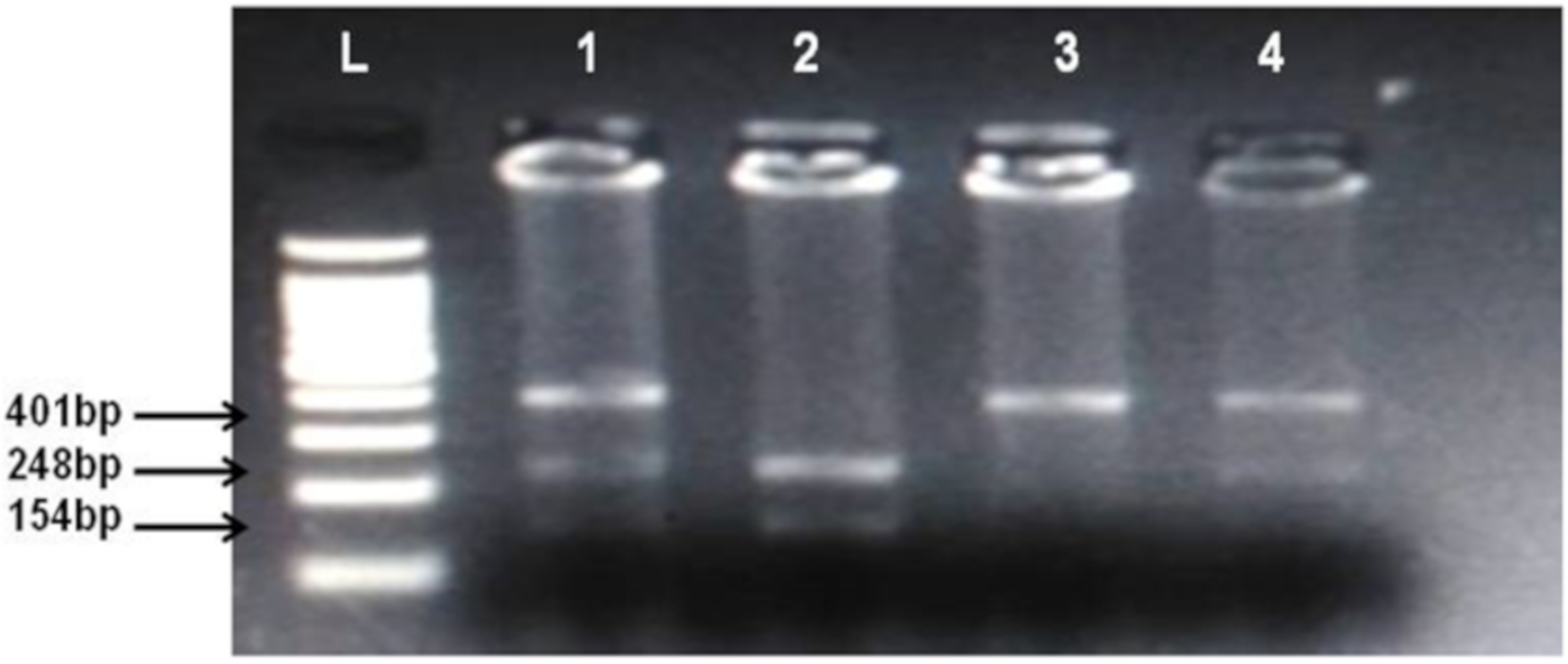Biomolecules 10 00758 g001 Biomolecules 10 00758 g001