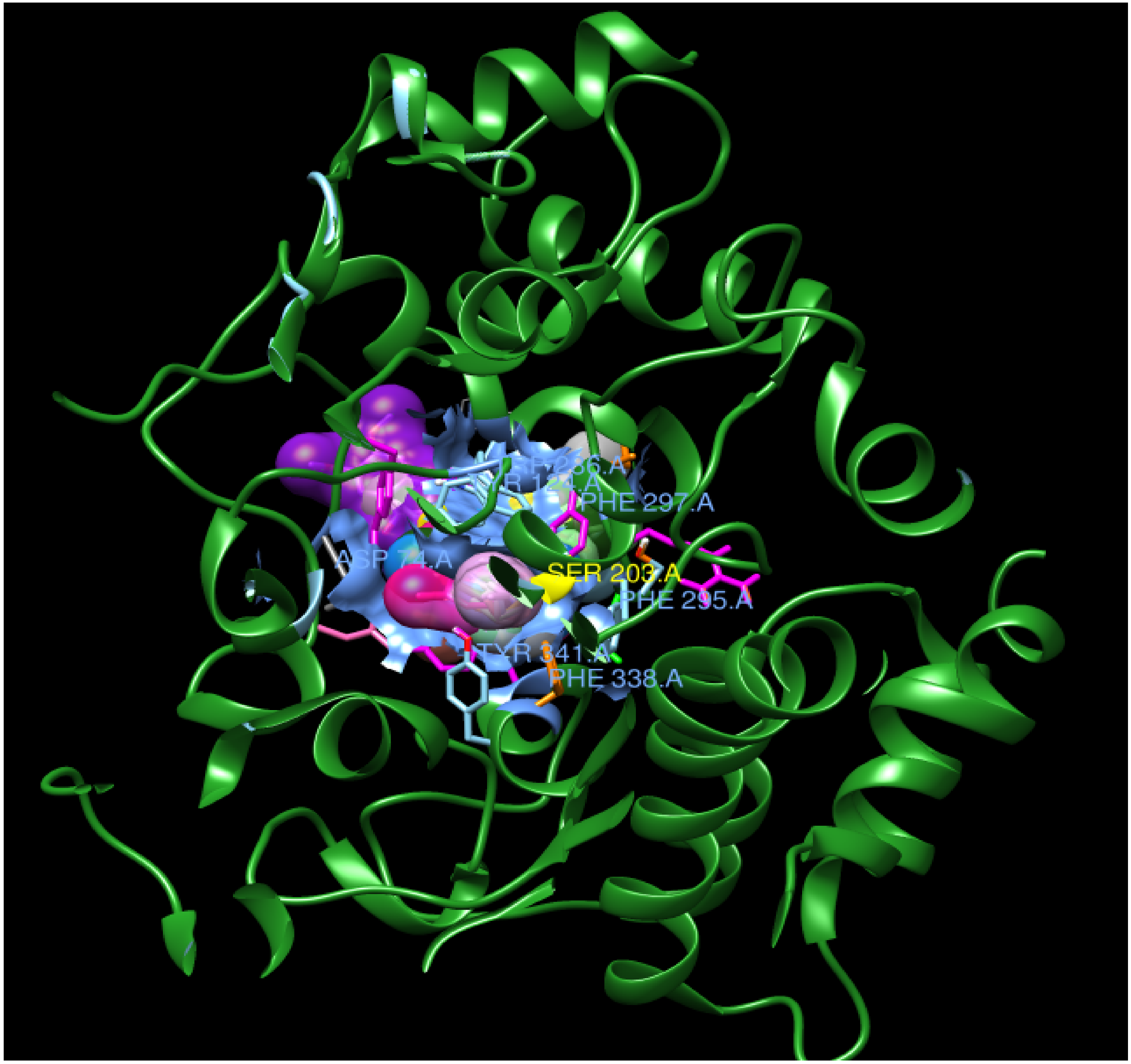 Biomolecules 10 00758 g003 Biomolecules 10 00758 g003