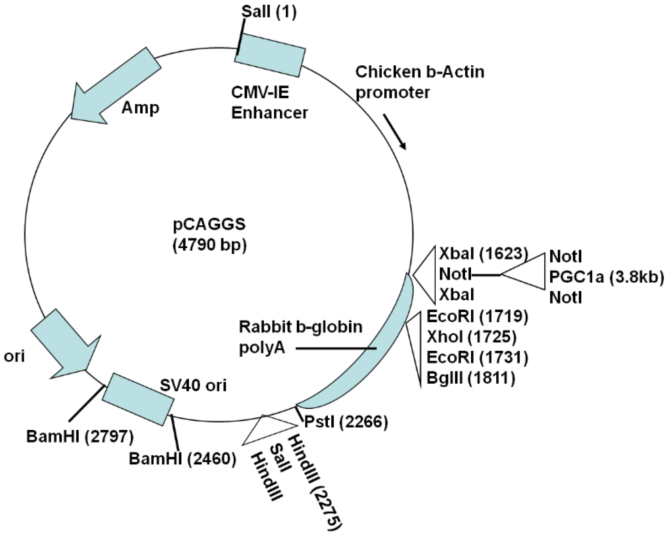 Biomolecules 10 00760 g001