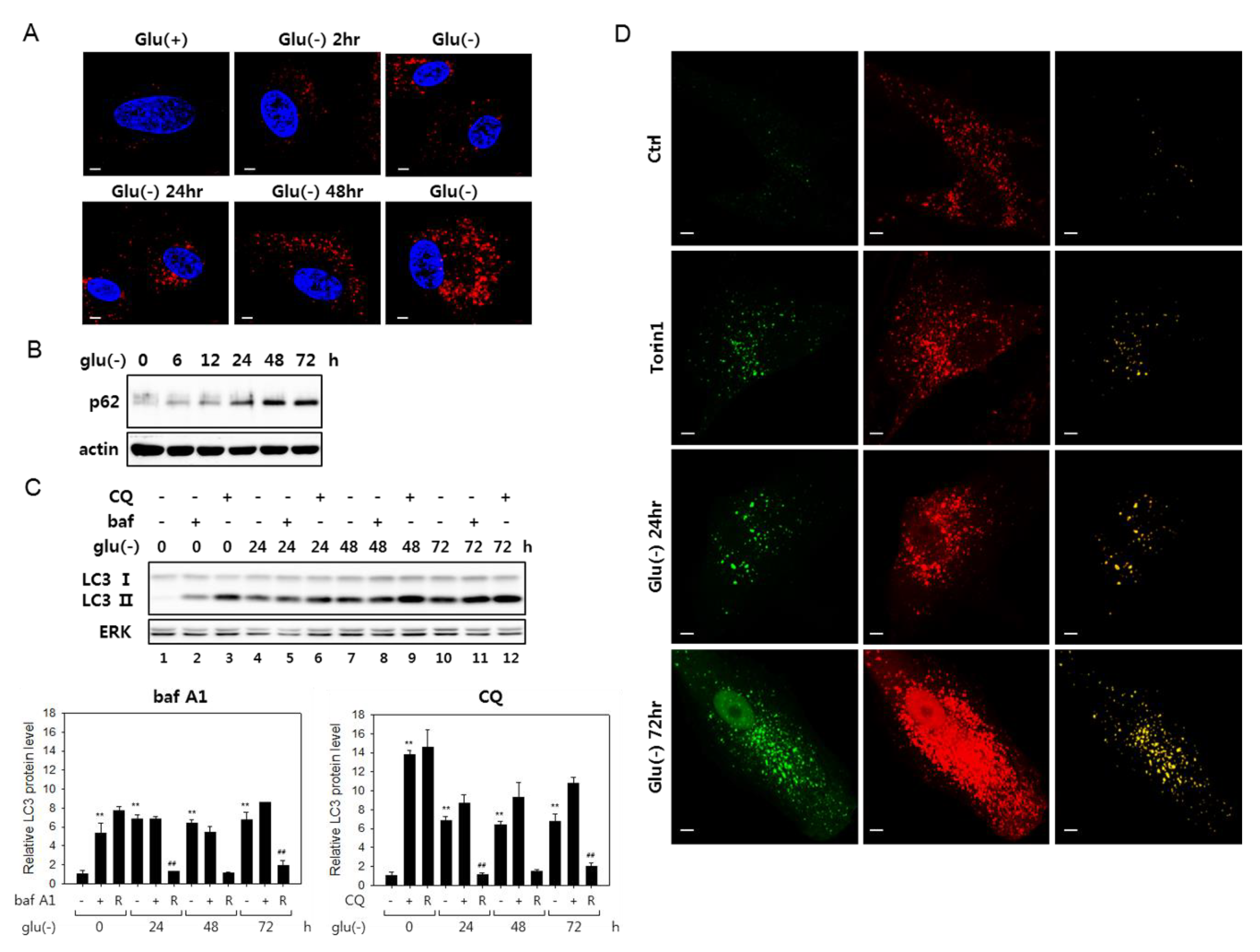 Biomolecules 10 00761 g001