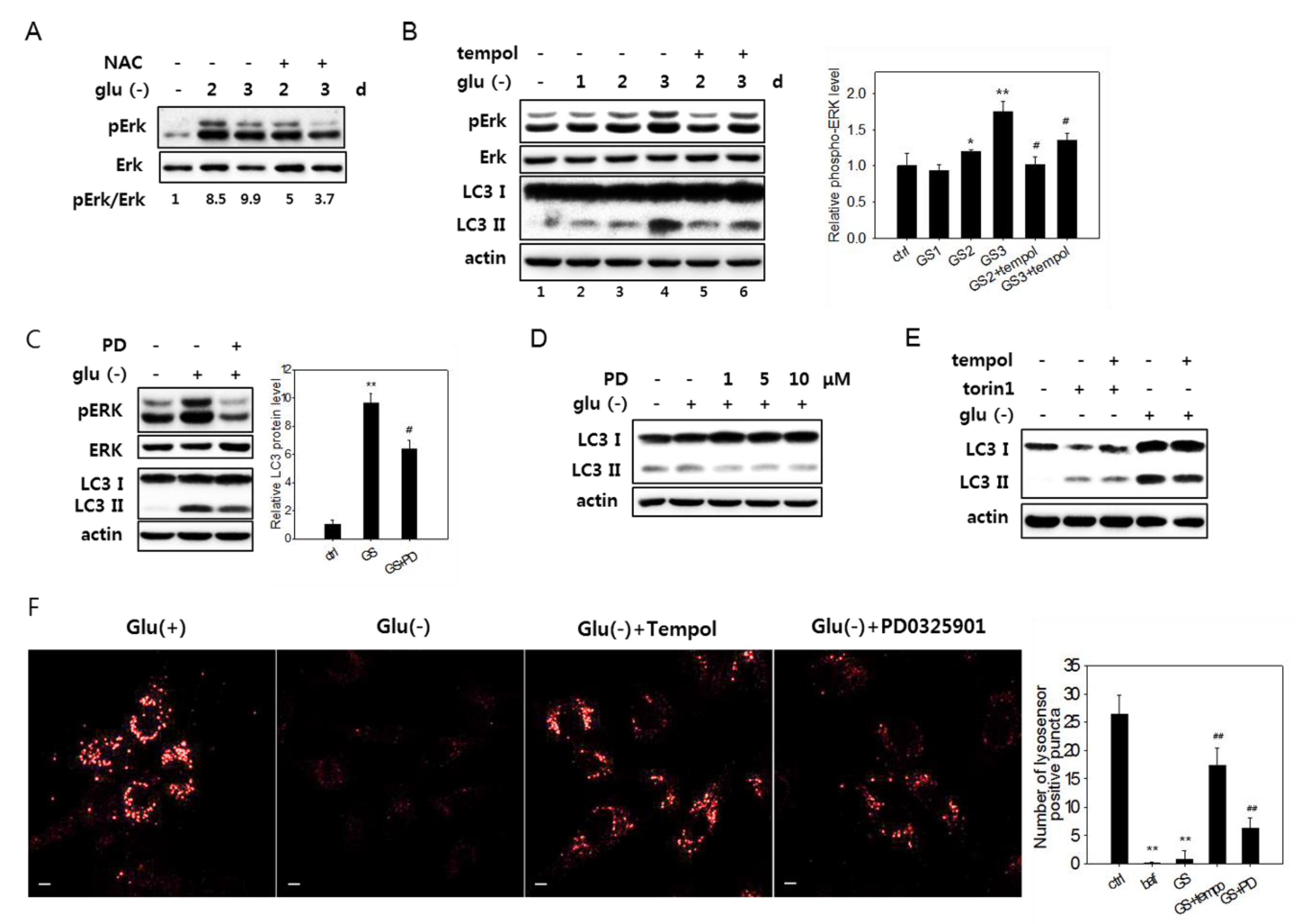 Biomolecules 10 00761 g006