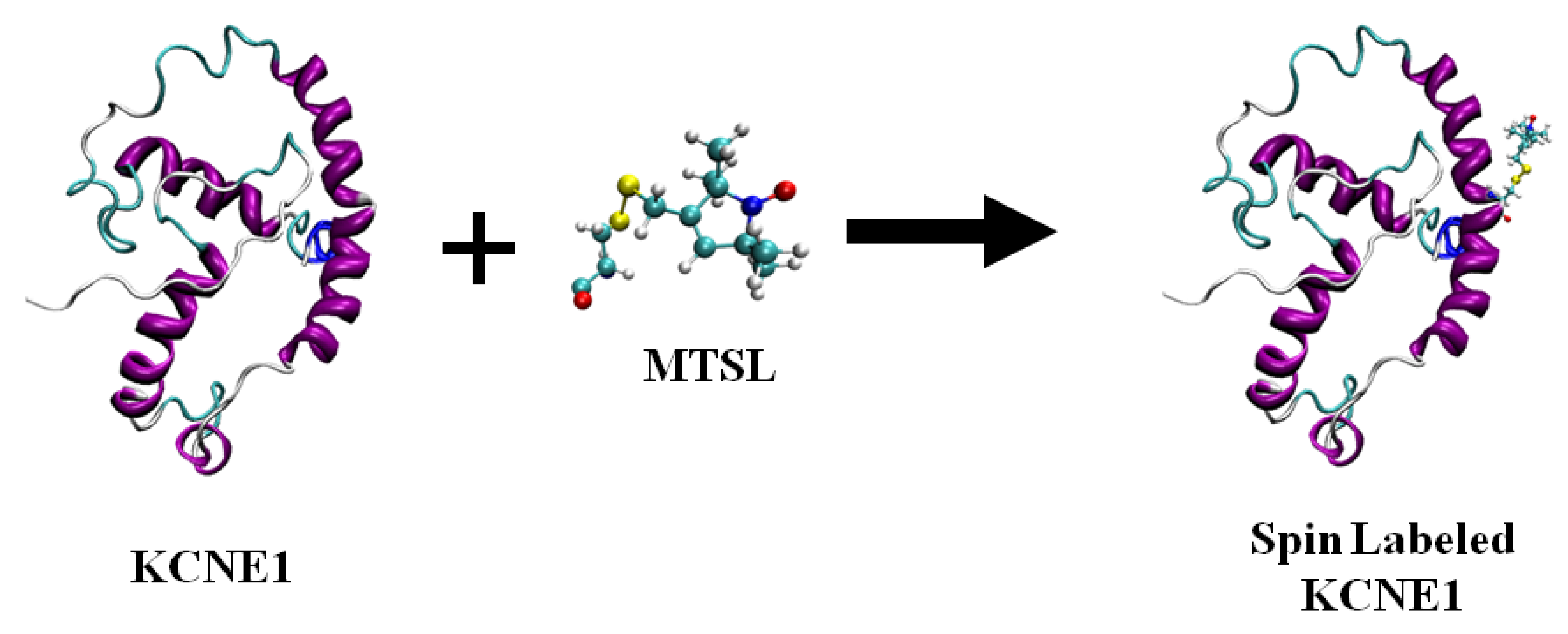 Biomolecules 10 00763 g003