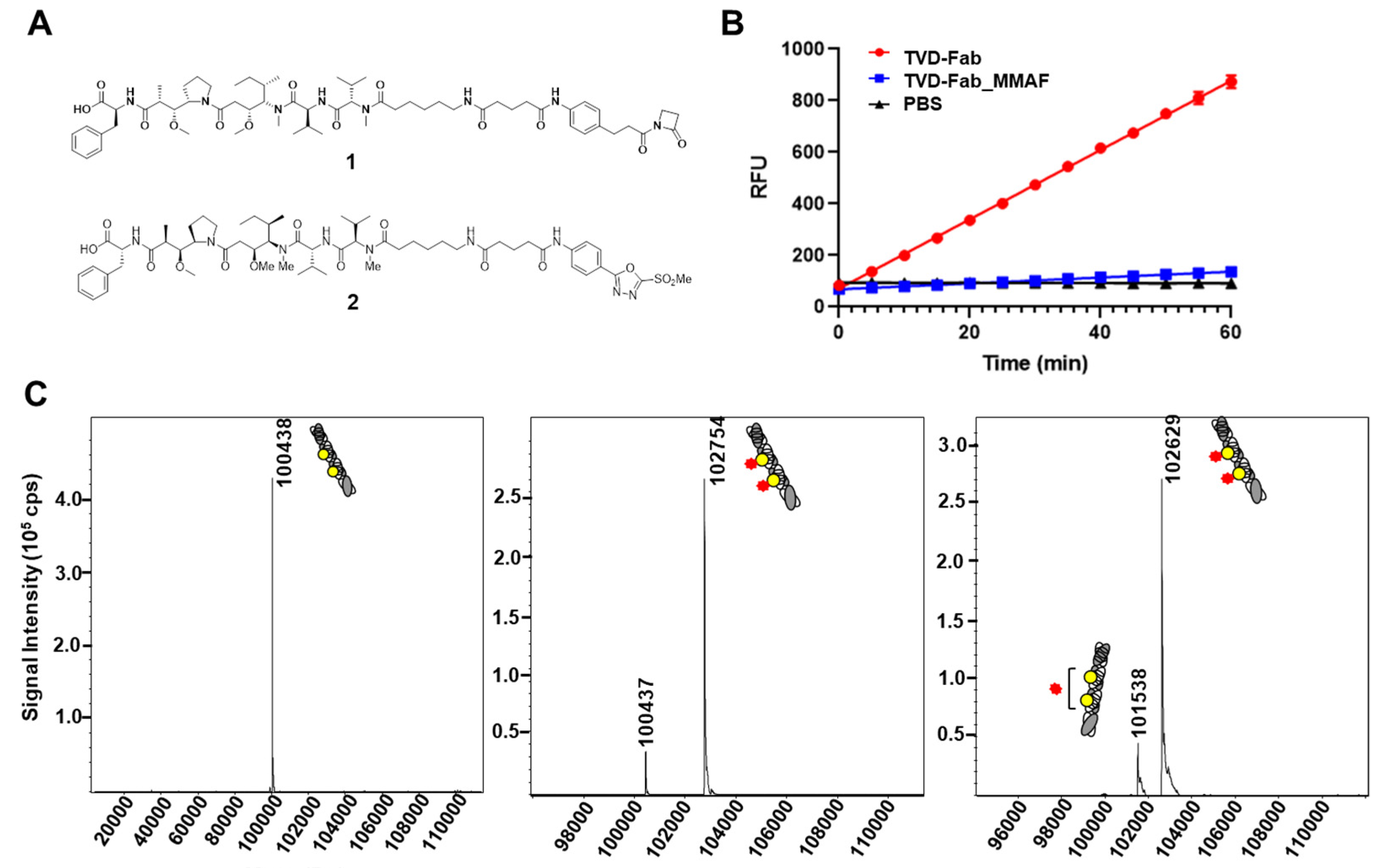 Biomolecules 10 00764 g002