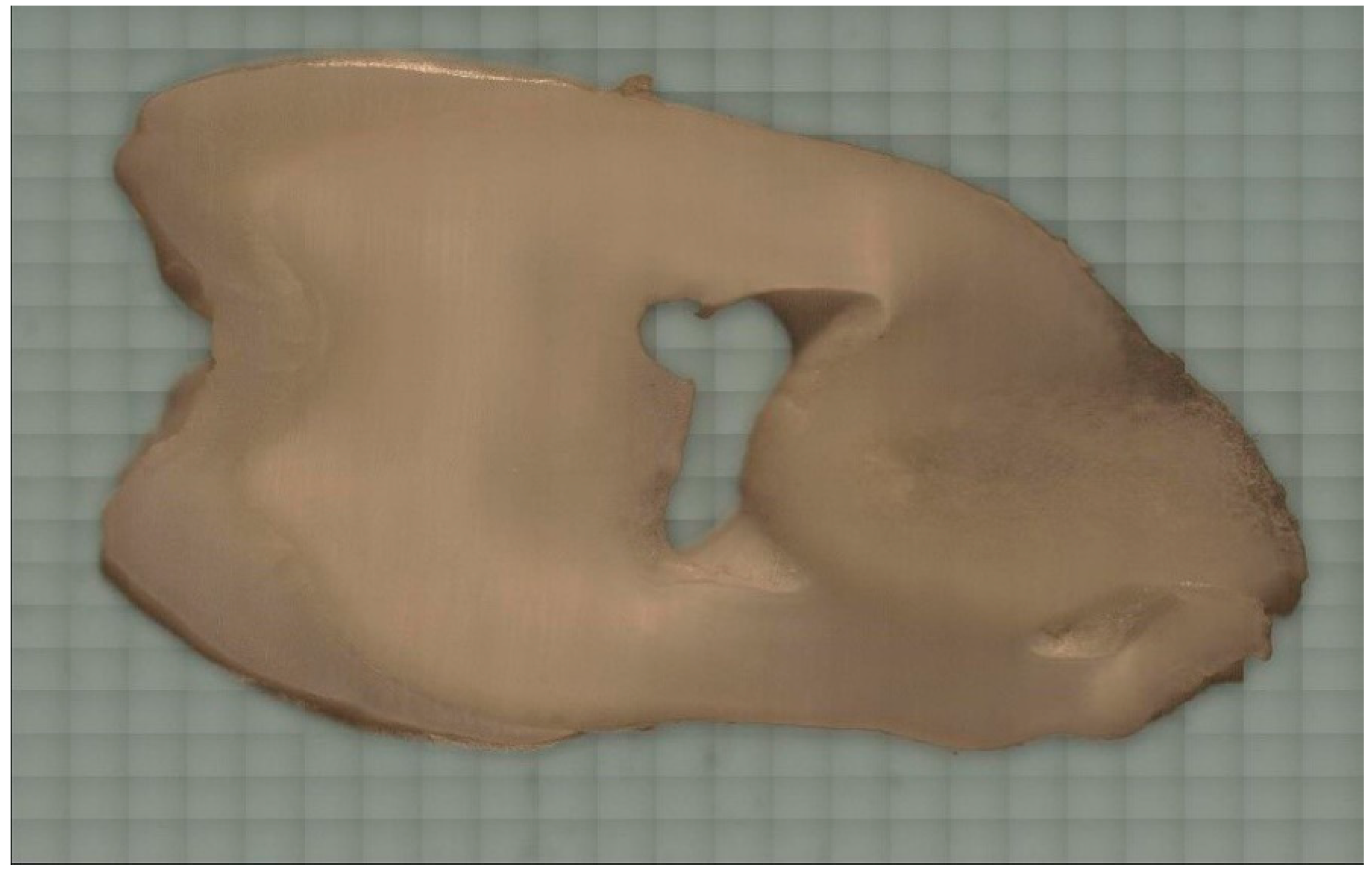 Biomolecules 10 00765 g002