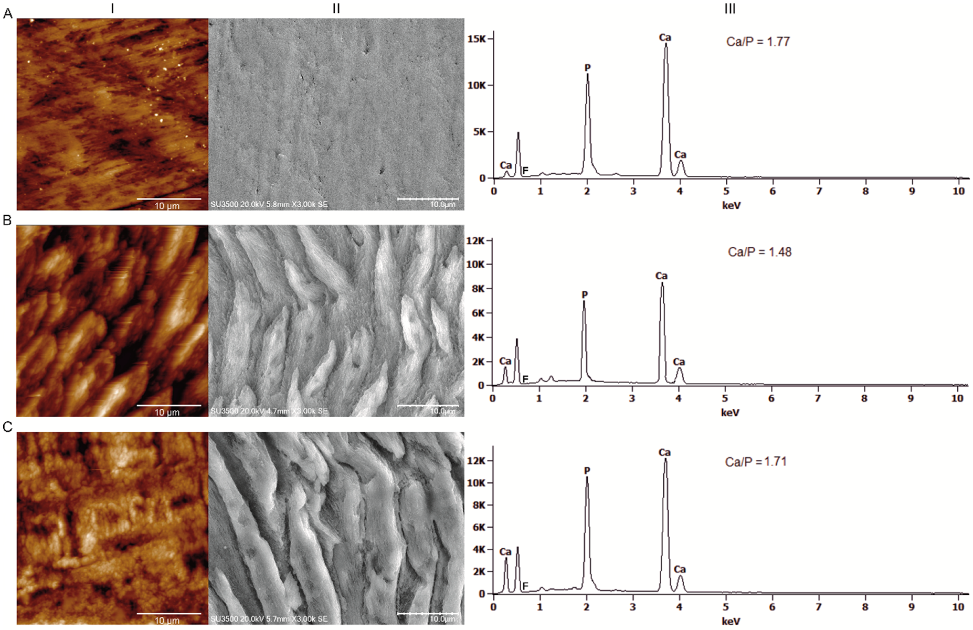 Biomolecules 10 00765 g005
