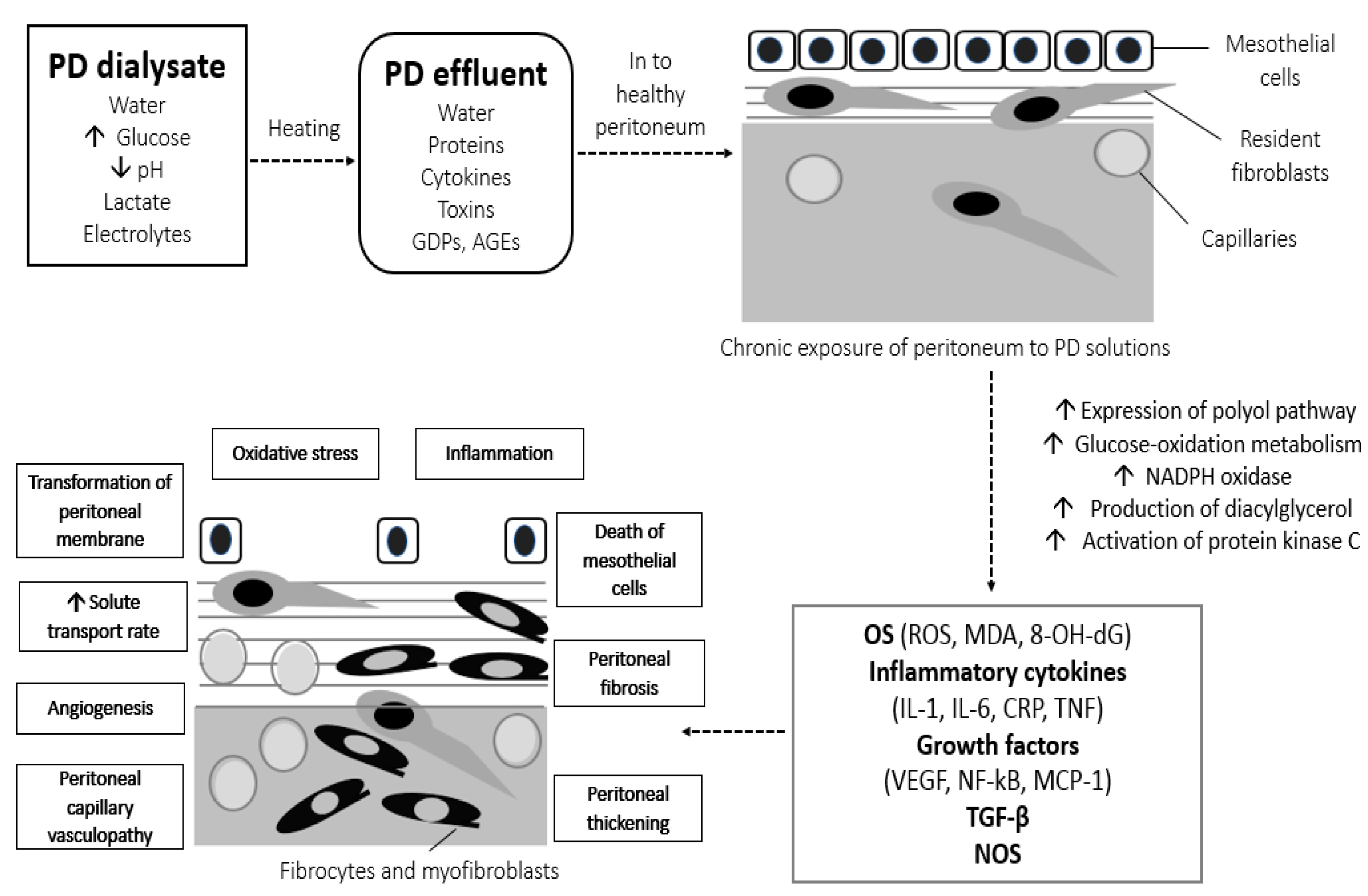Biomolecules 10 00768 g002 Biomolecules 10 00768 g002
