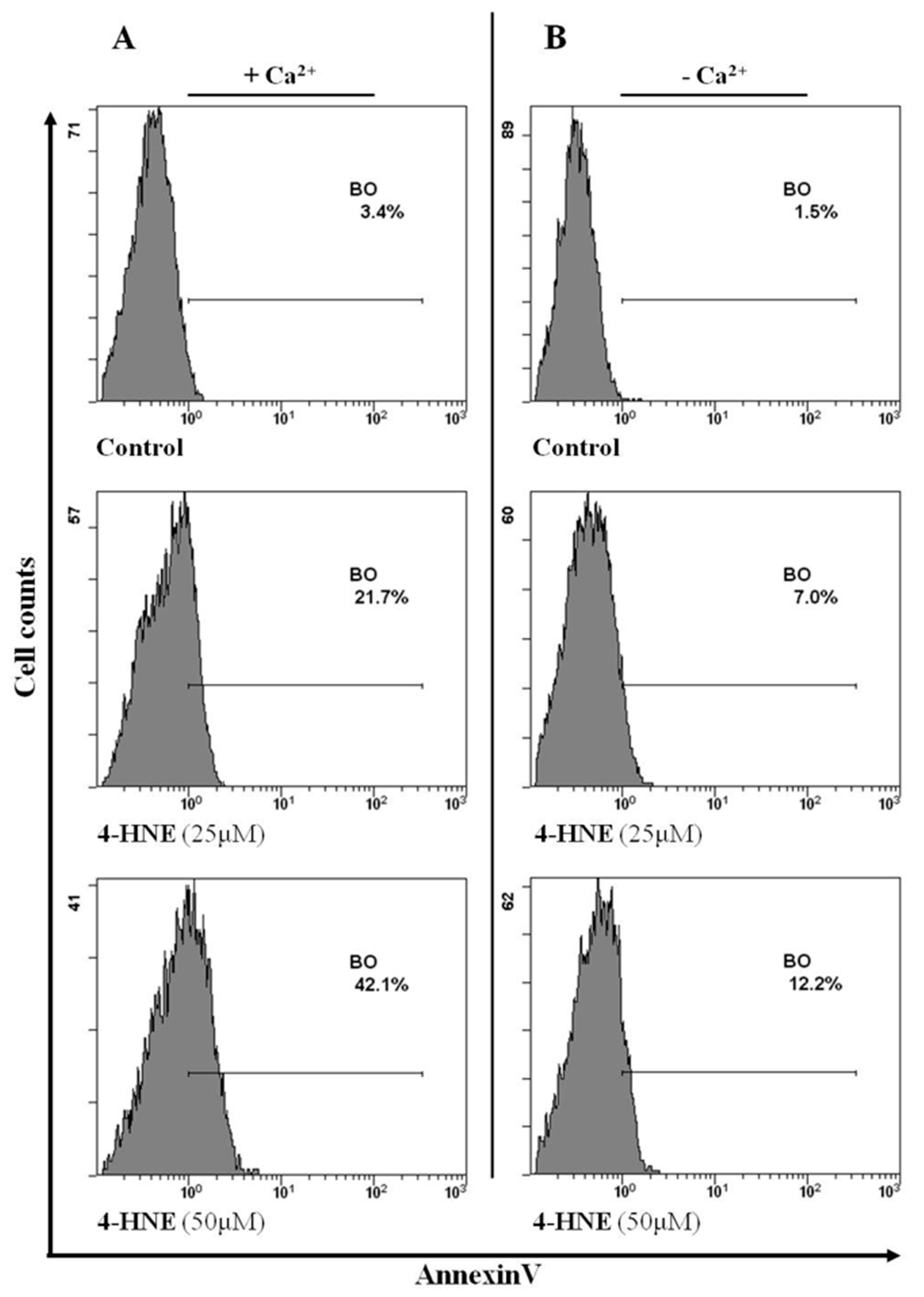 Biomolecules 10 00770 g006 Biomolecules 10 00770 g006