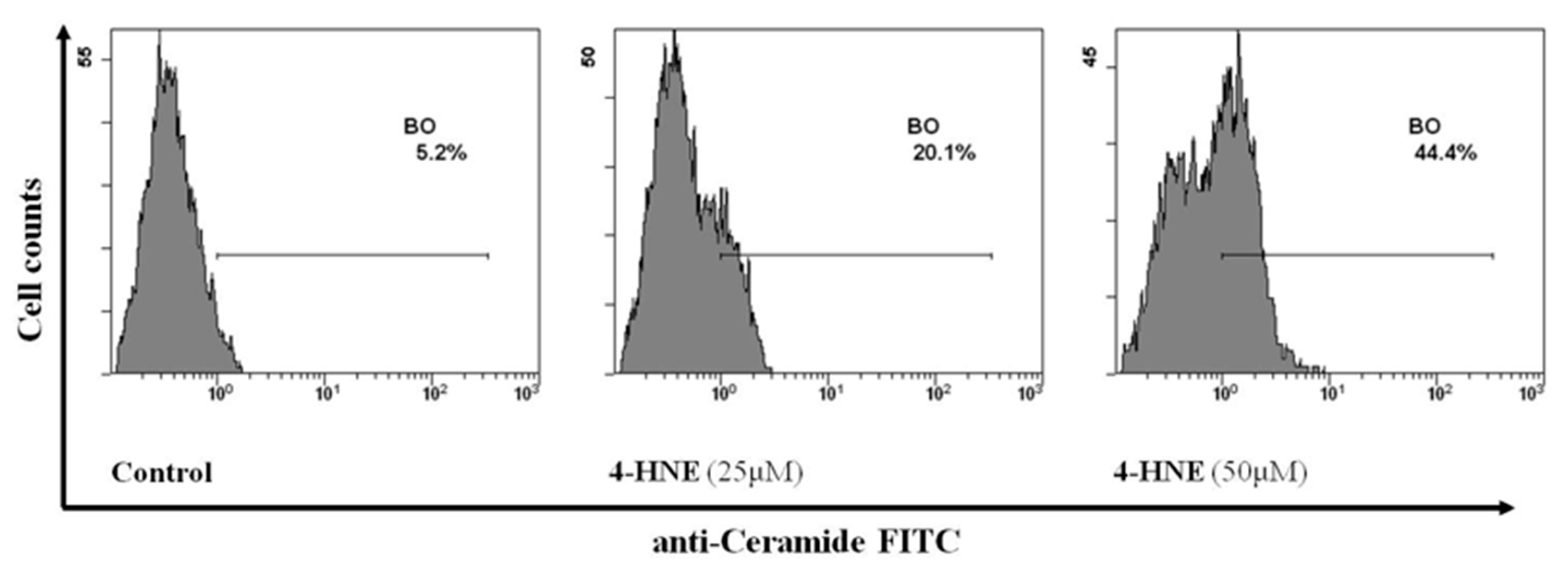 Biomolecules 10 00770 g010 Biomolecules 10 00770 g010