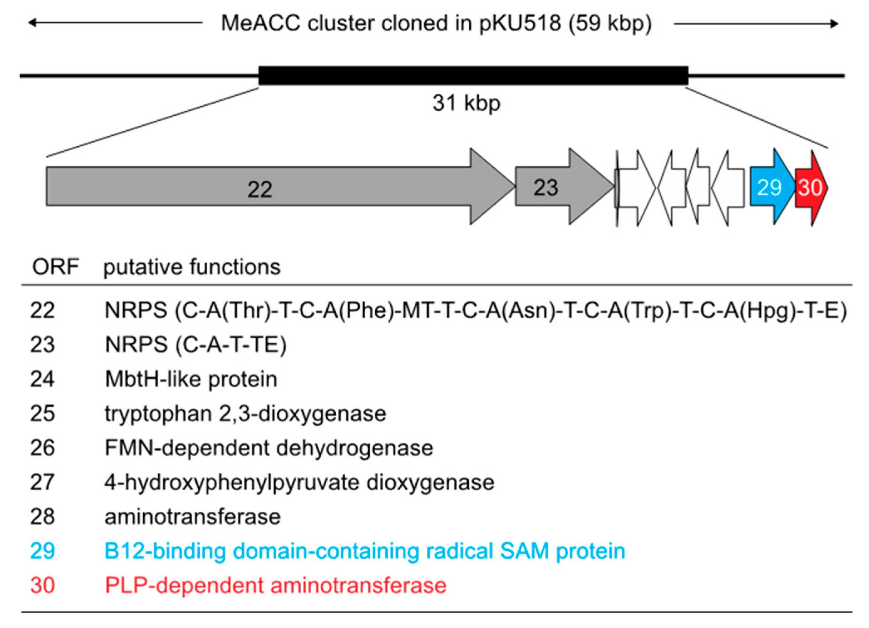 Biomolecules 10 00775 g002