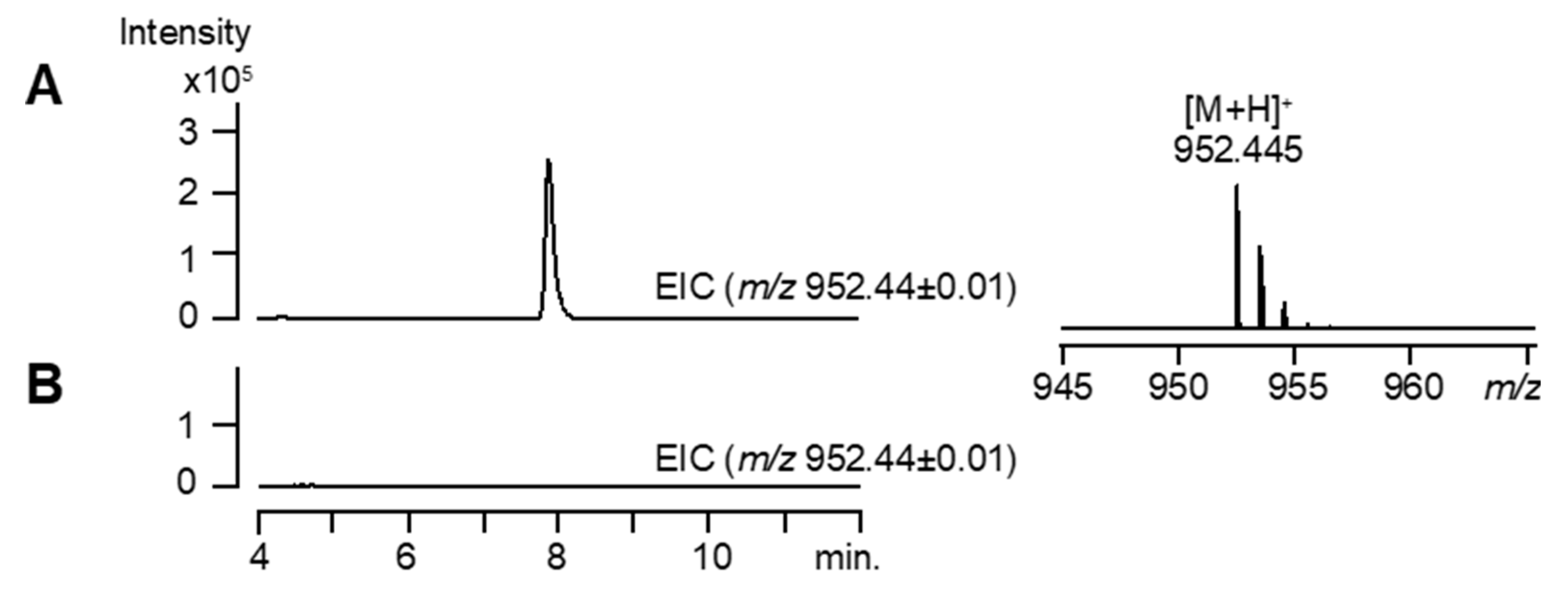 Biomolecules 10 00775 g003