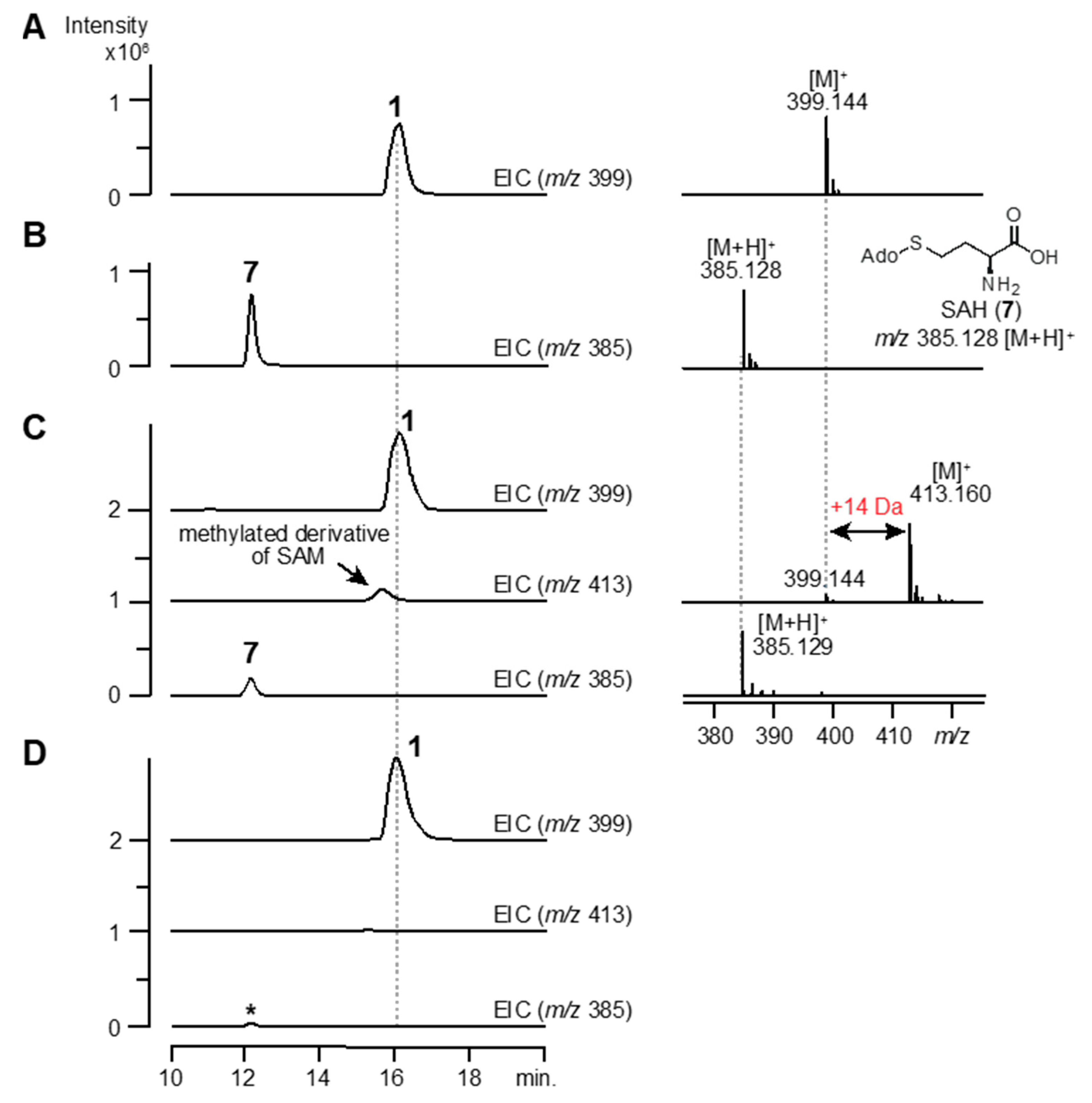 Biomolecules 10 00775 g006