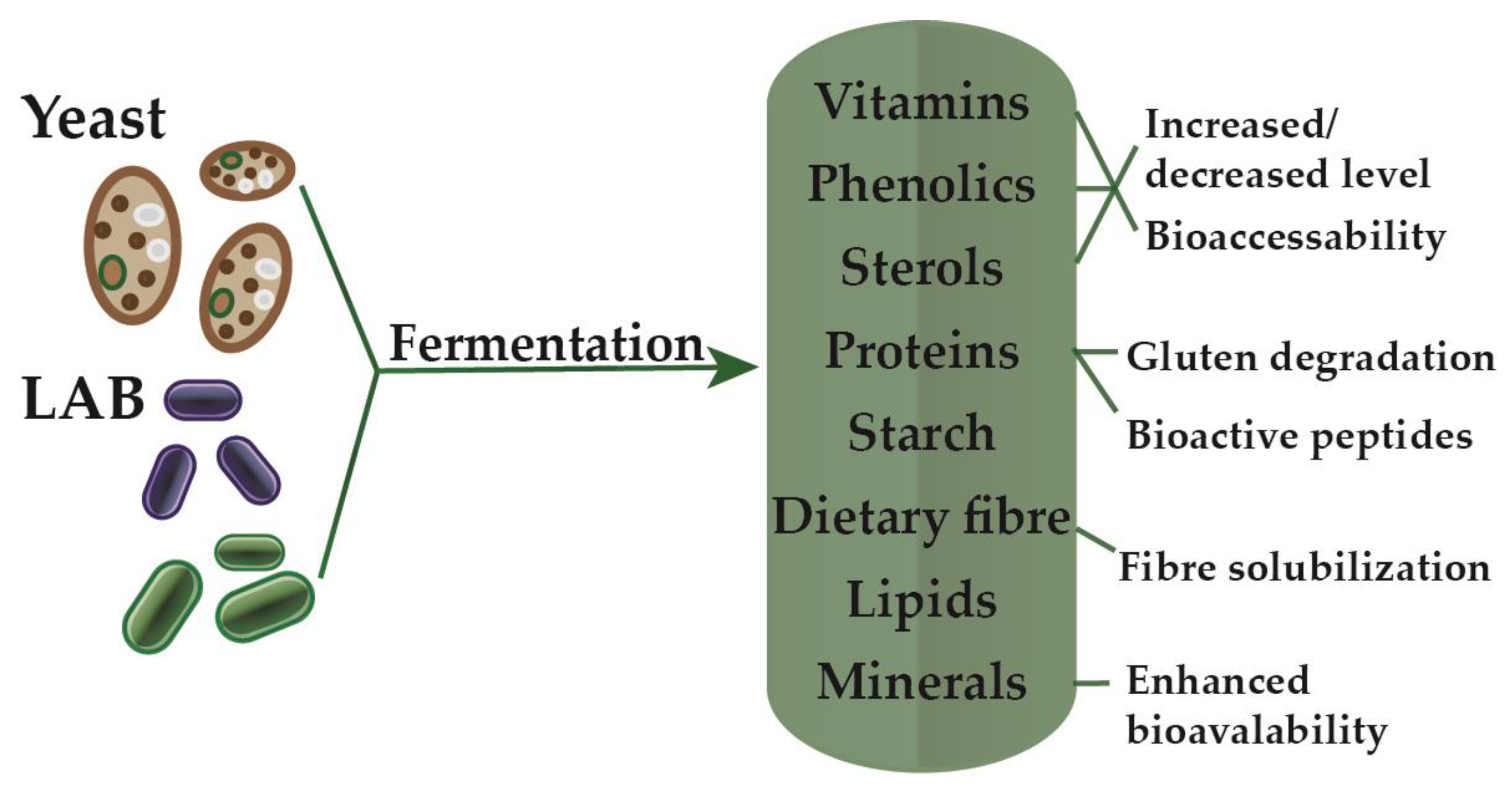 Biomolecules 10 00778 g001