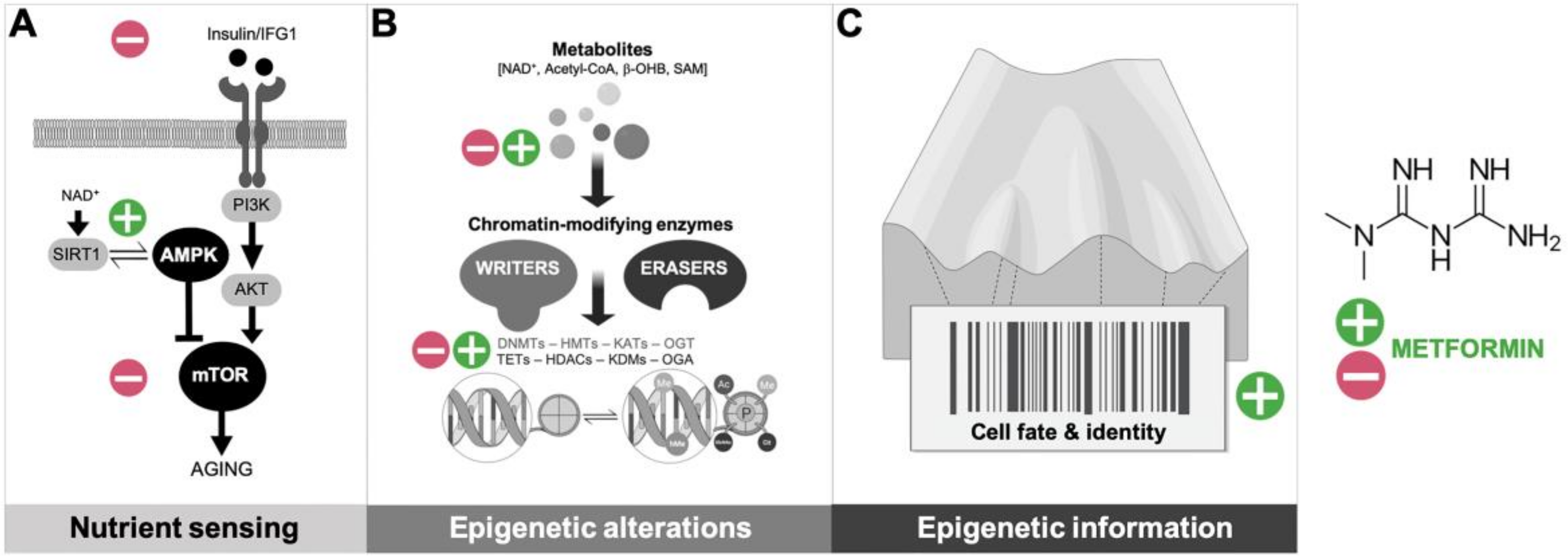 Biomolecules 10 00780 g001 Biomolecules 10 00780 g001
