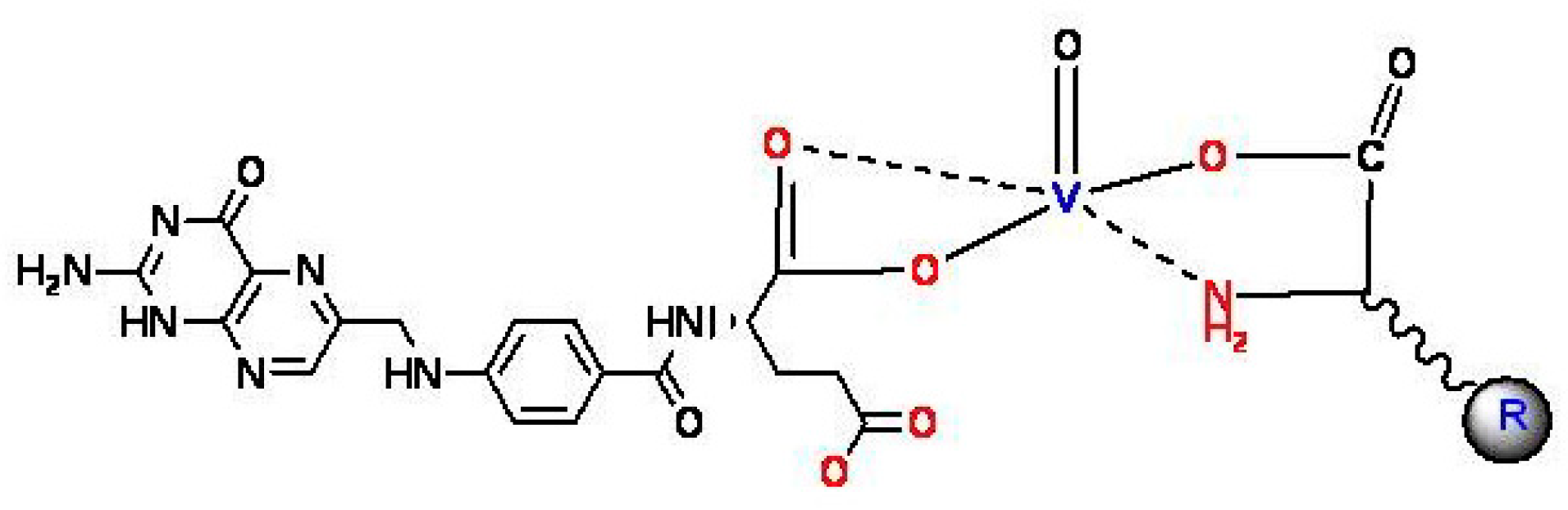 Biomolecules 10 00781 g003