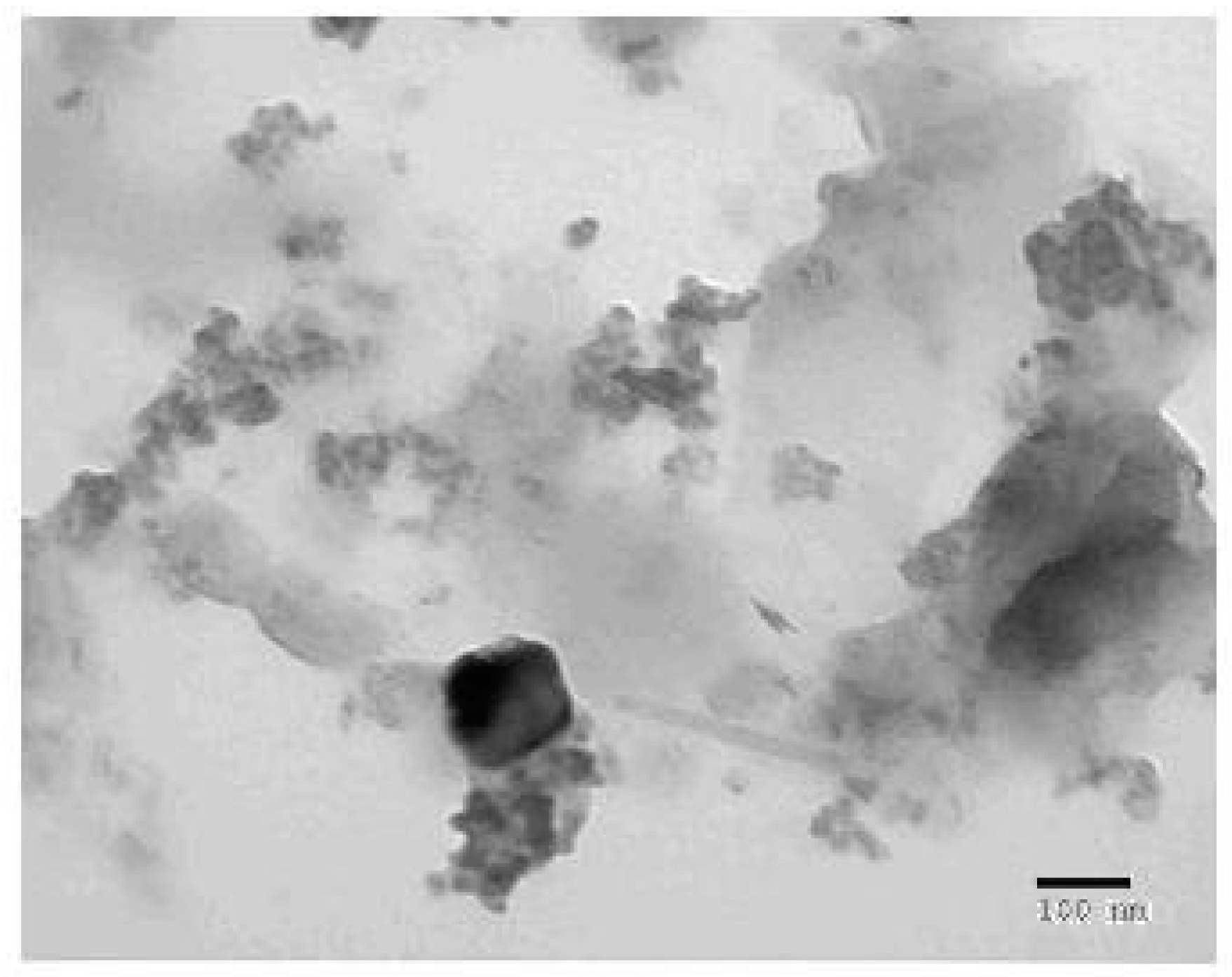 Biomolecules 10 00781 g006