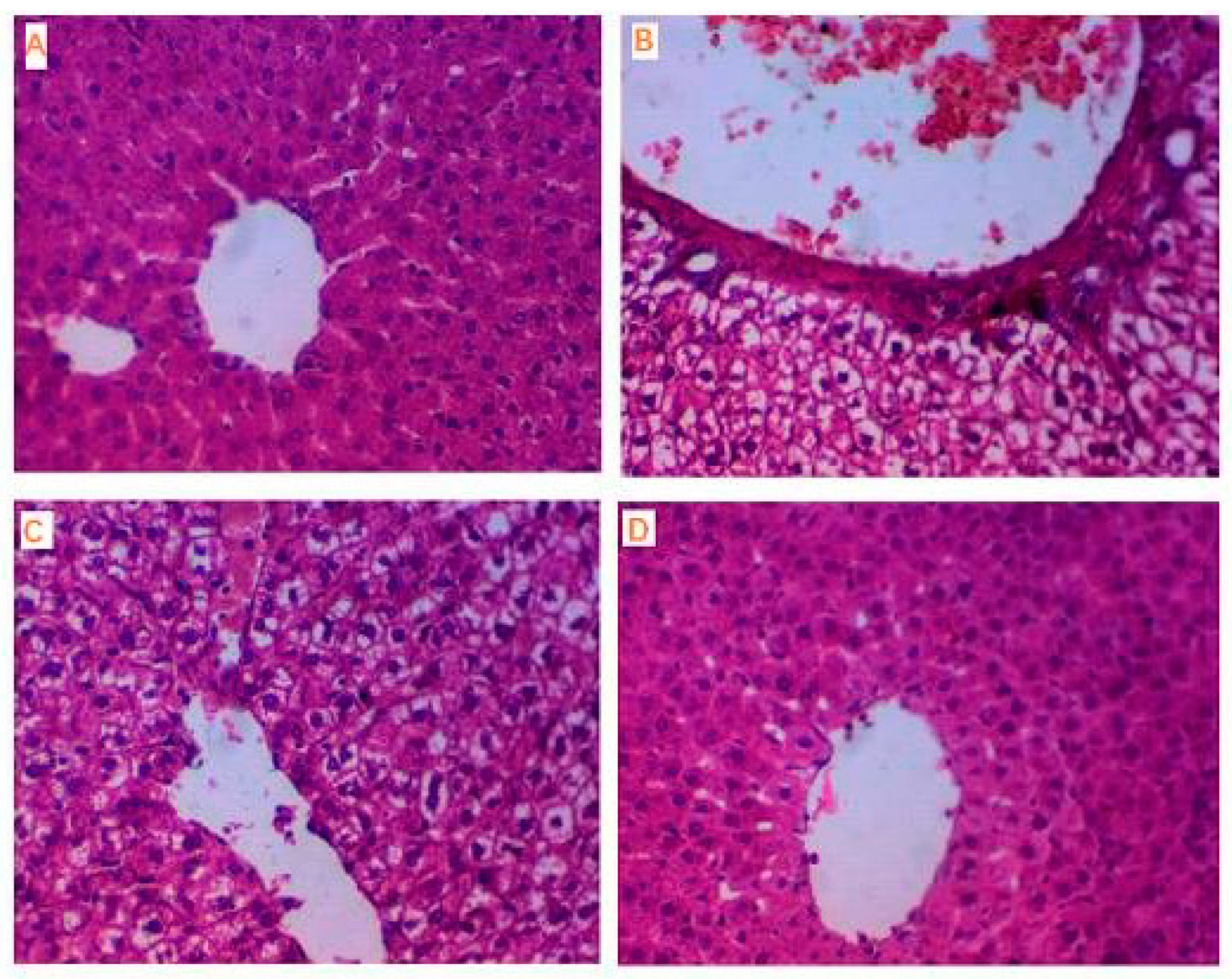 Biomolecules 10 00781 g008