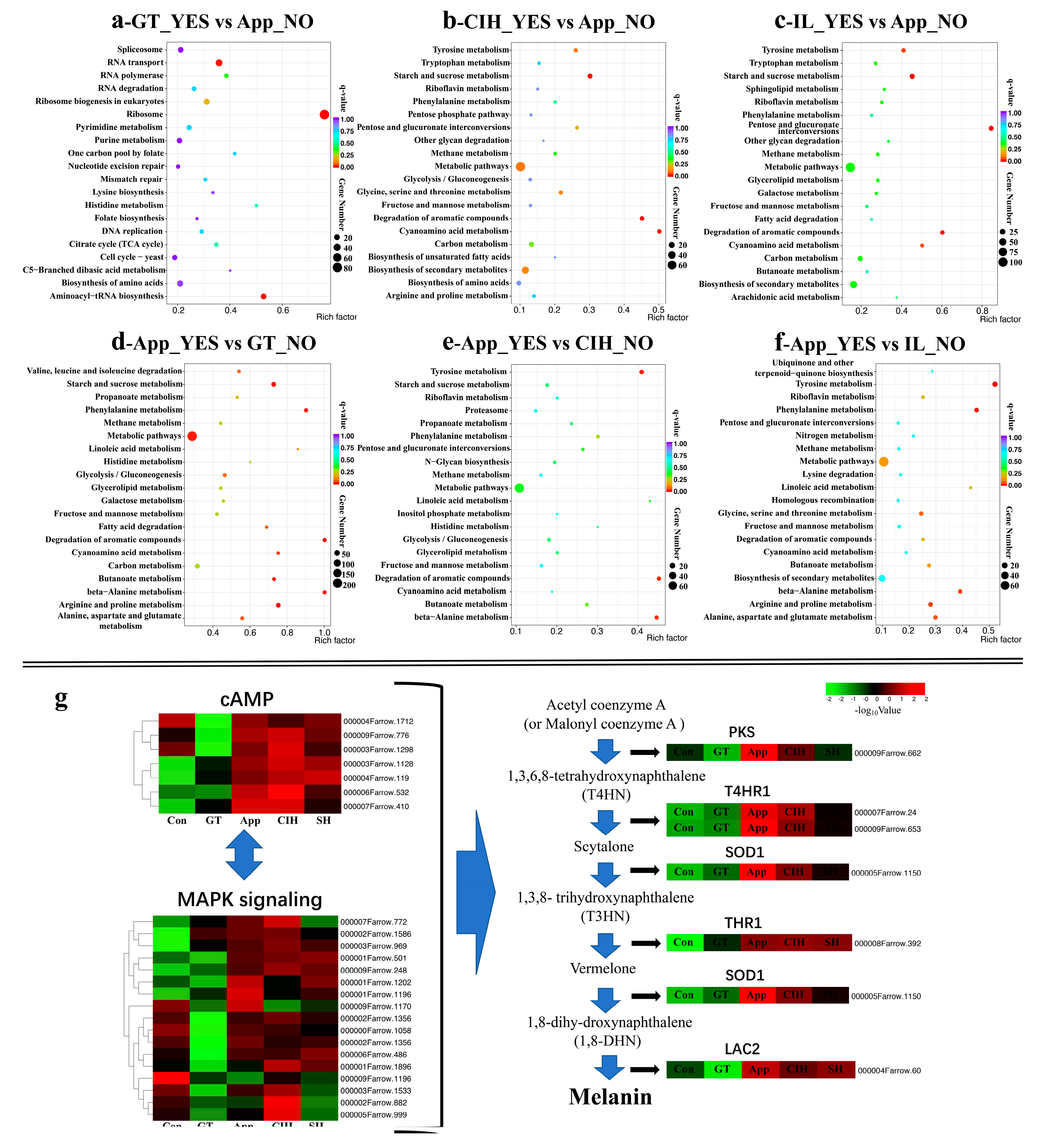 Biomolecules 10 00782 g005