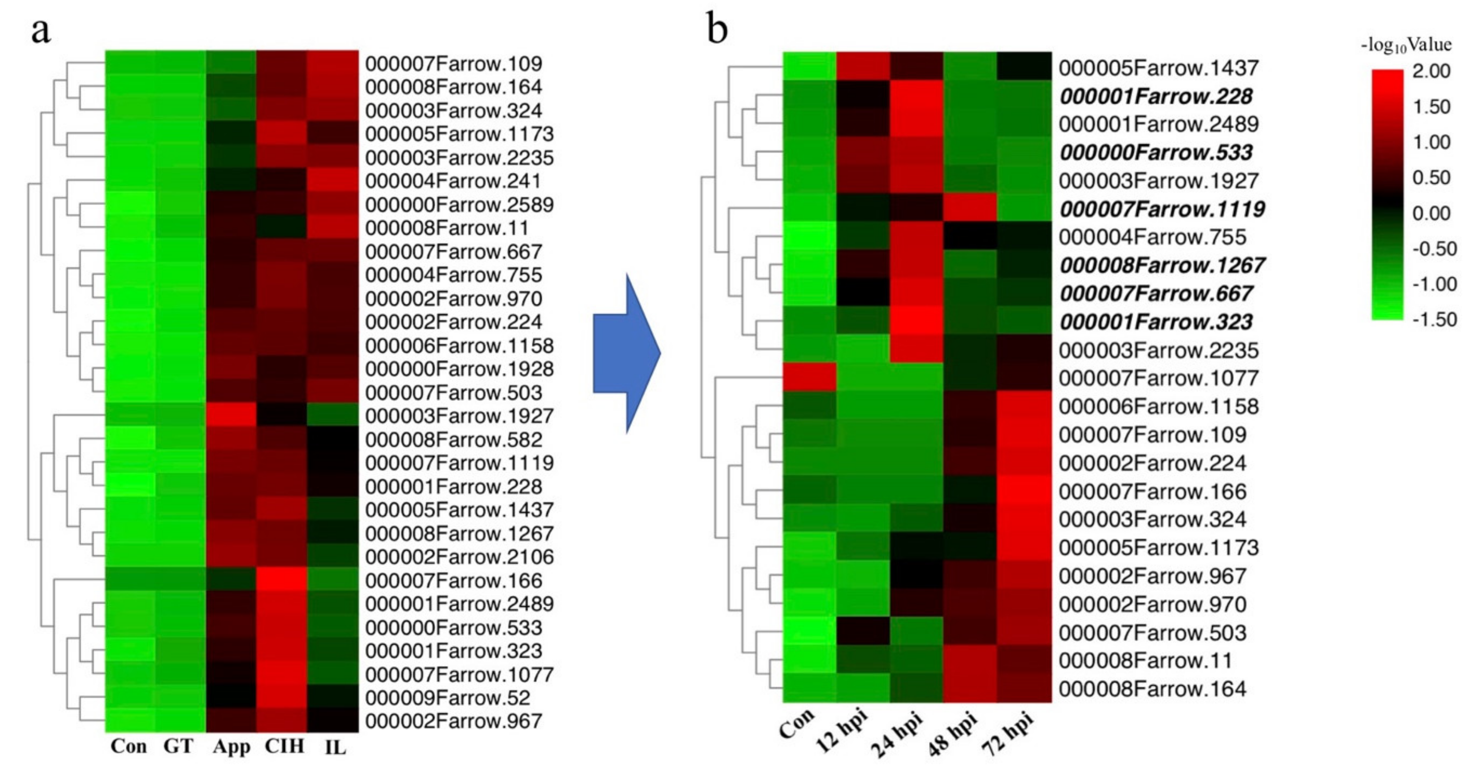 Biomolecules 10 00782 g006