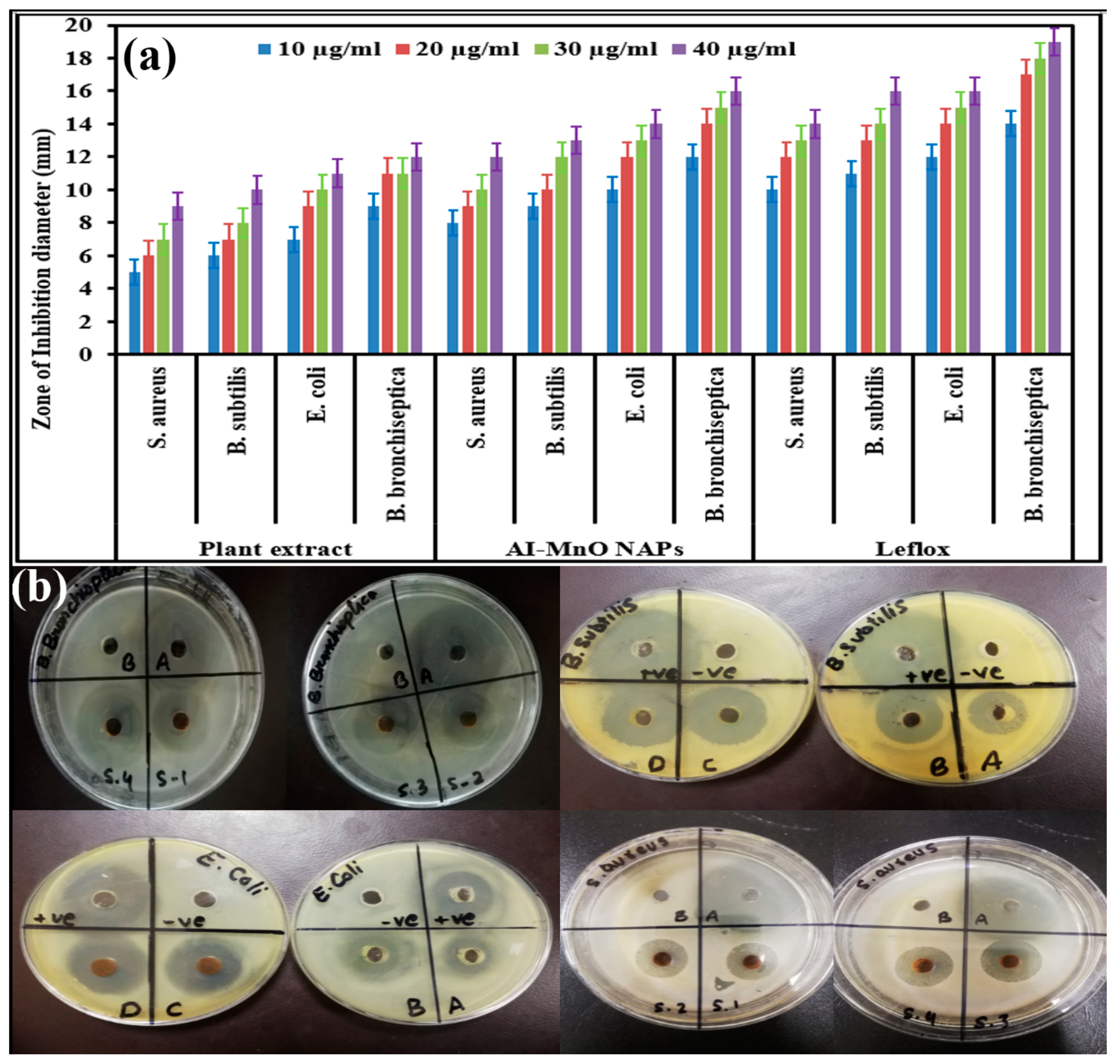 Biomolecules 10 00785 g004 Biomolecules 10 00785 g004