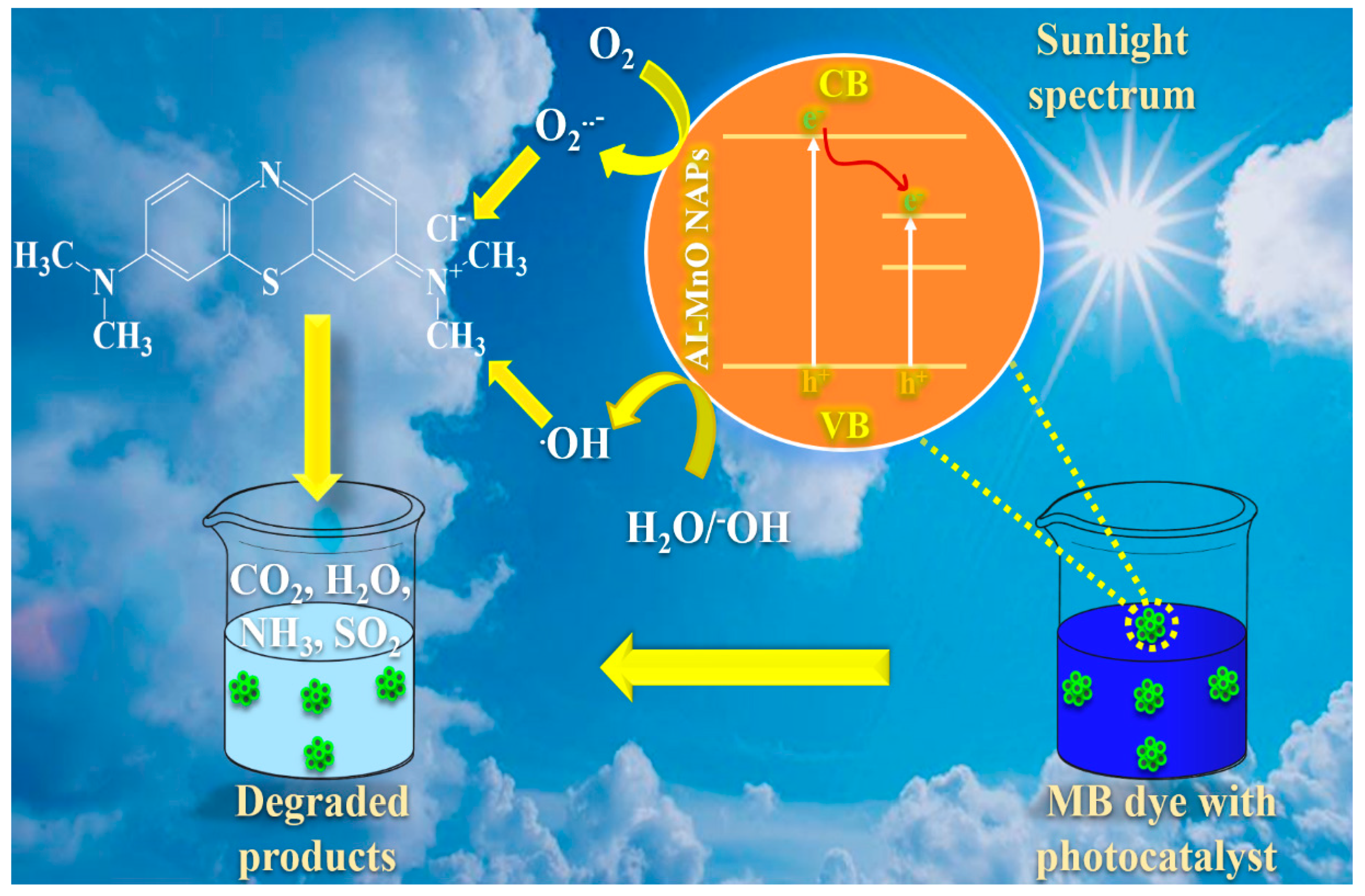 Biomolecules 10 00785 g009 Biomolecules 10 00785 g009