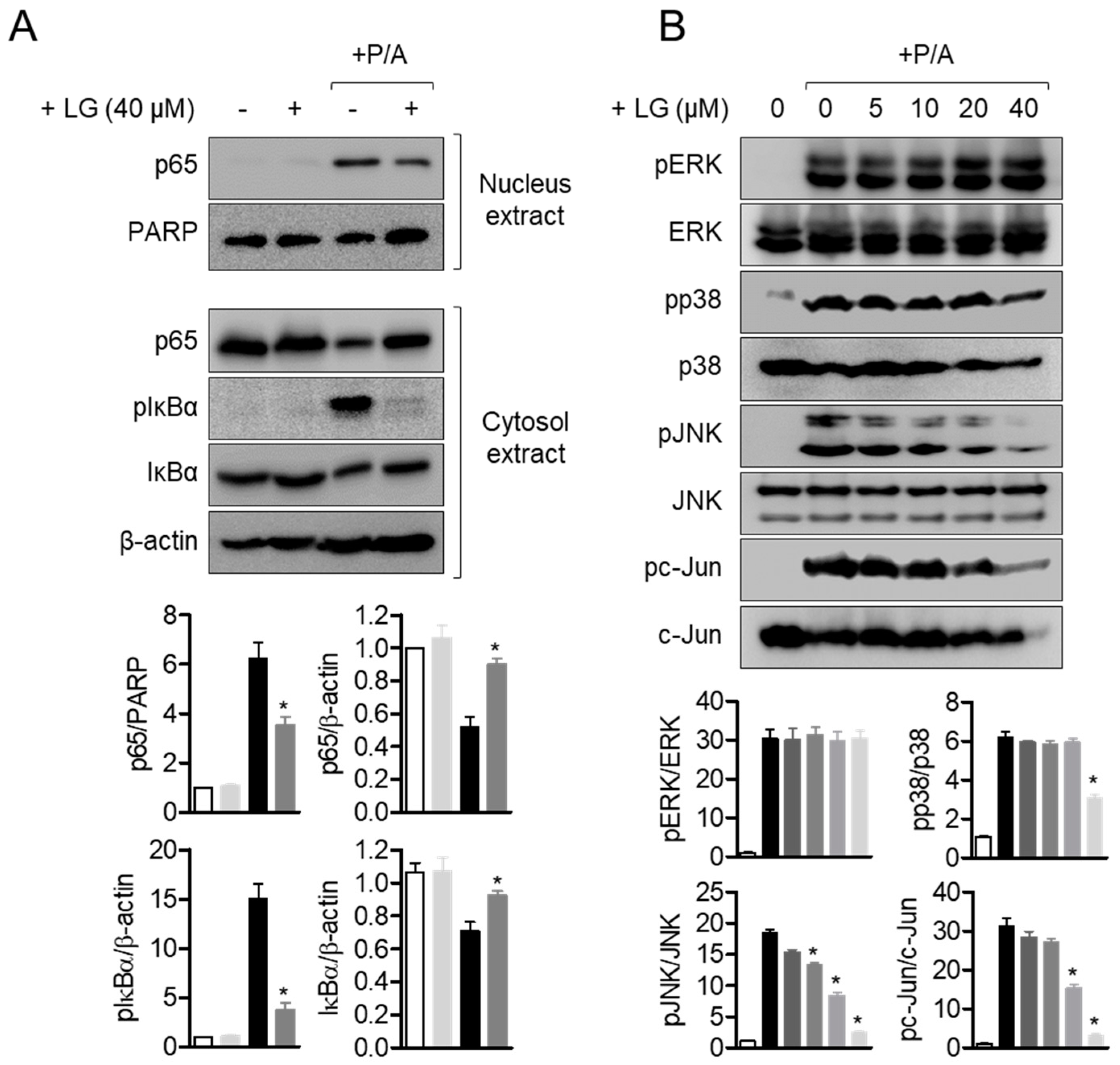 Biomolecules 10 00786 g005 Biomolecules 10 00786 g005